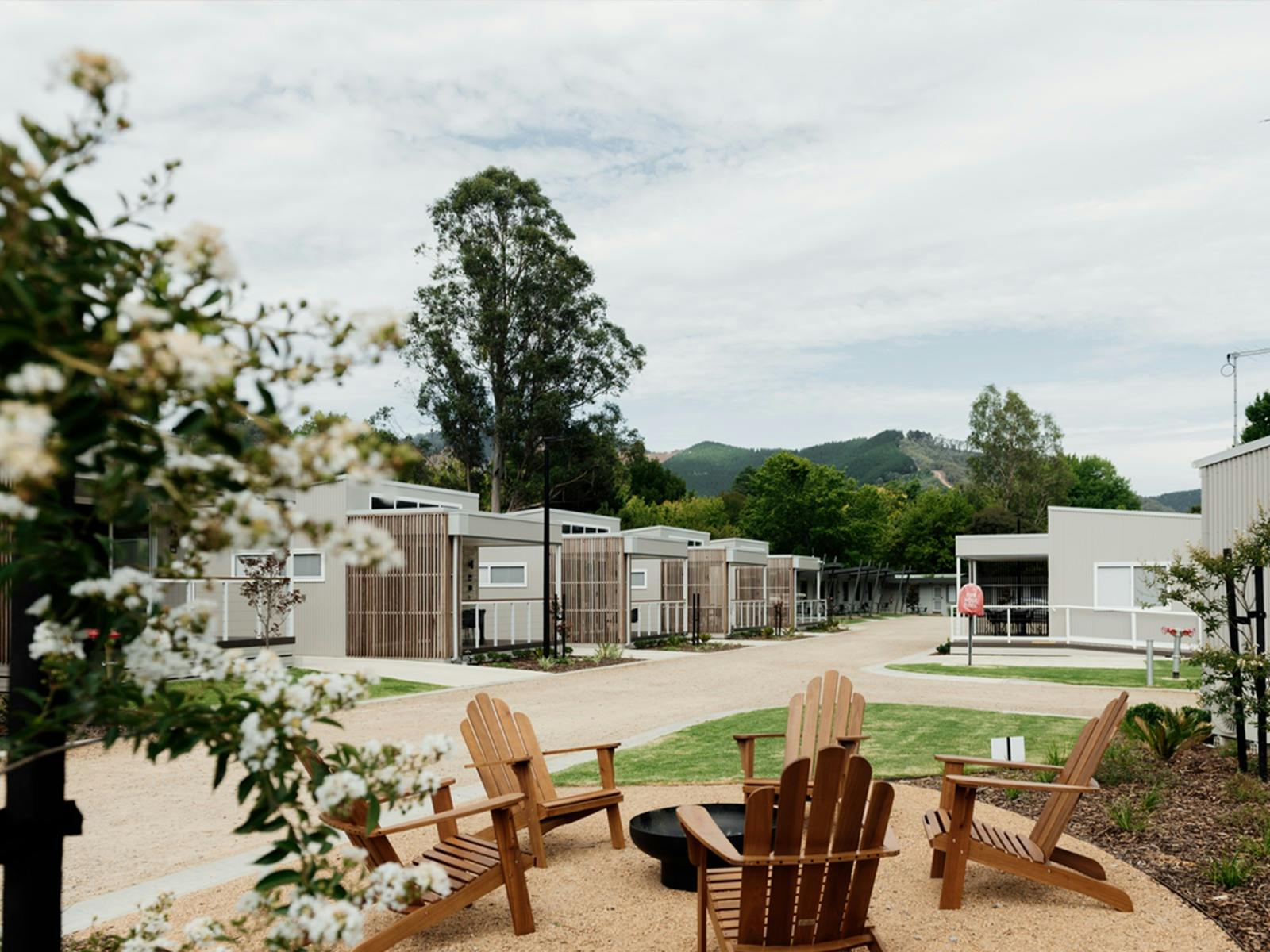 A group of chairs set around a fire pit in a welcoming cabins