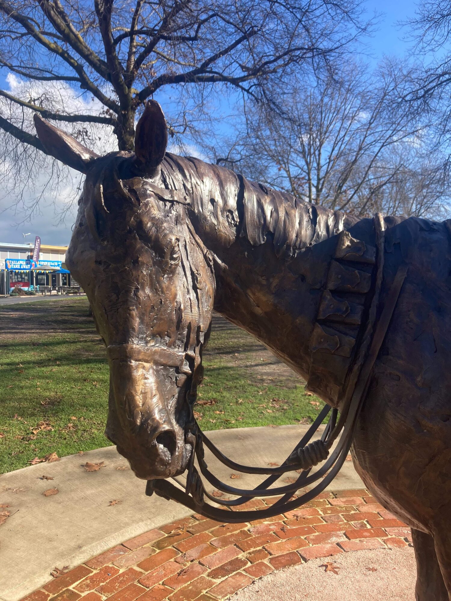 Image of the head of the Sandy the War Horse statue in Tallangatta