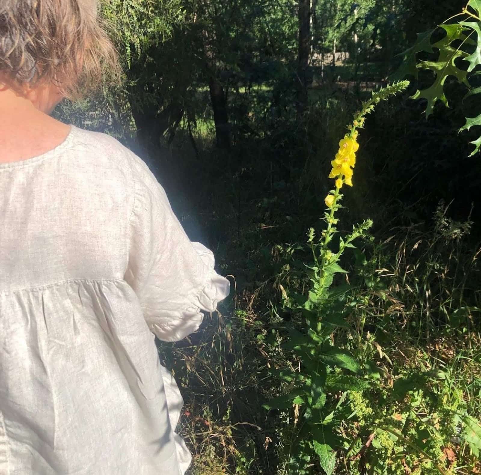 lady with back facing looking at yellow flower stalk