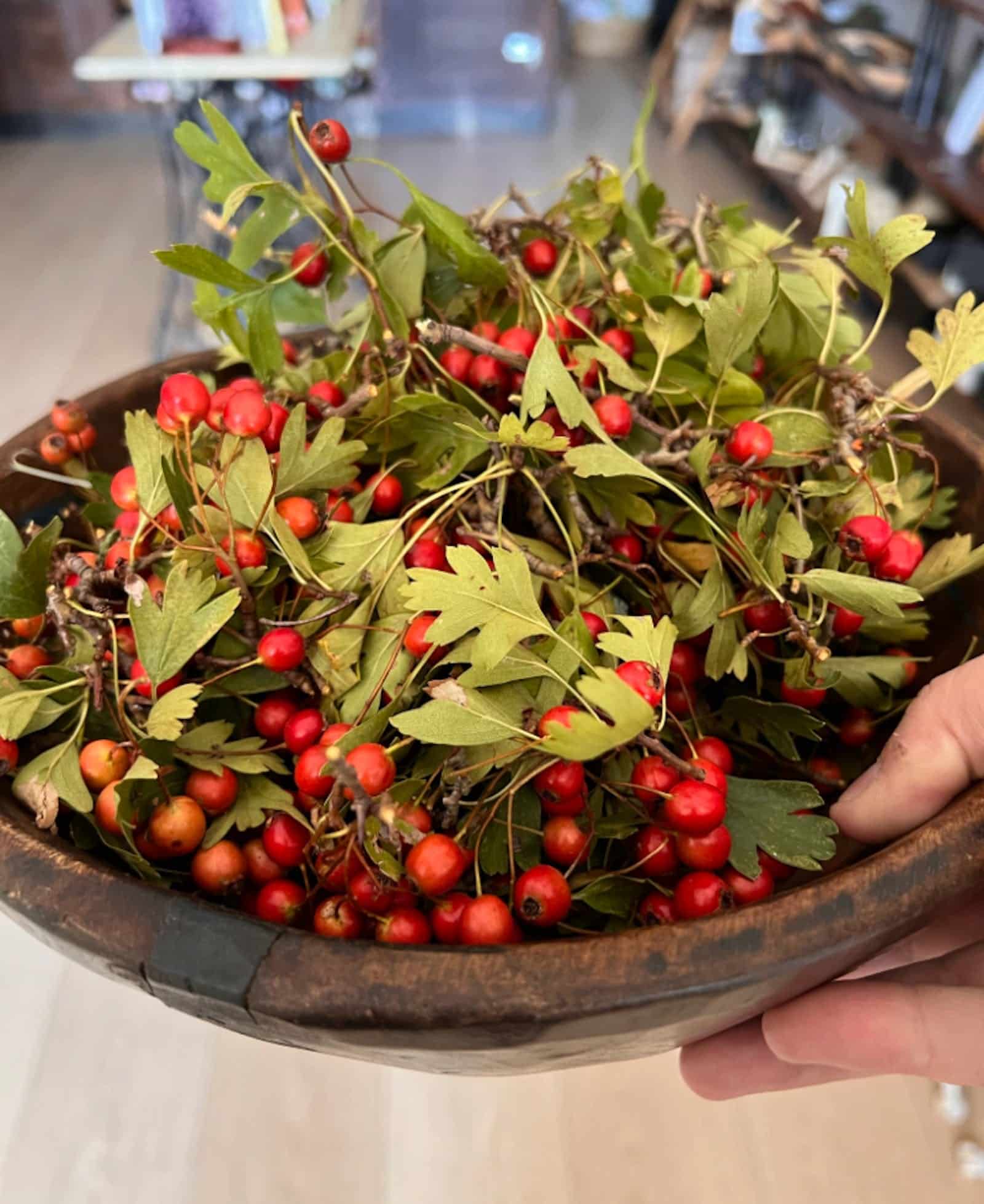 Hand holding bowl of red berries and leaves
