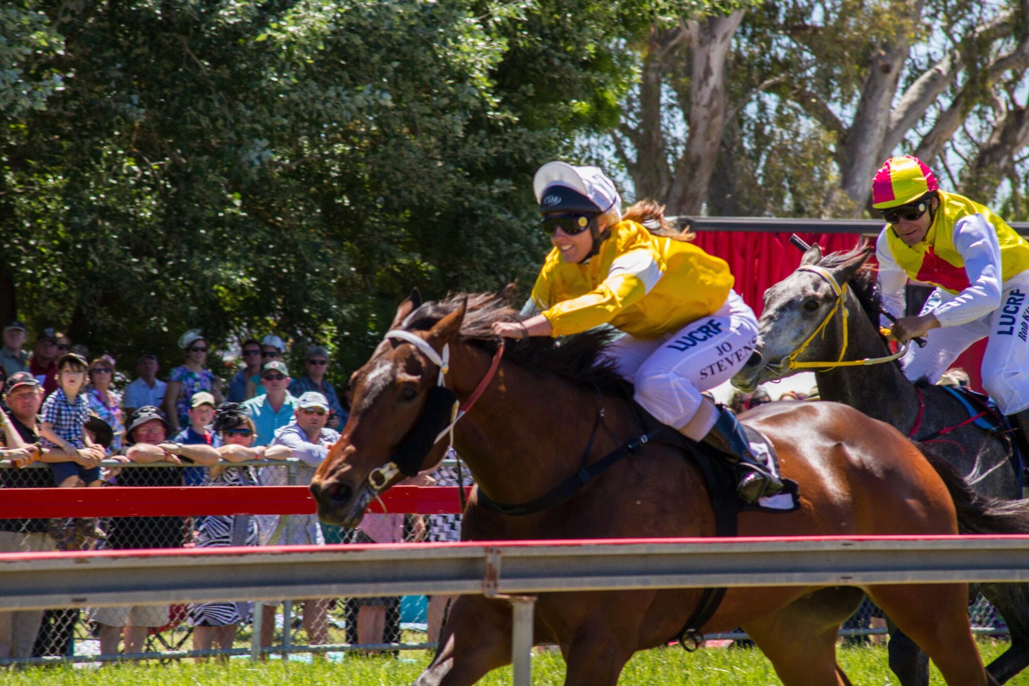 Mansfield Races