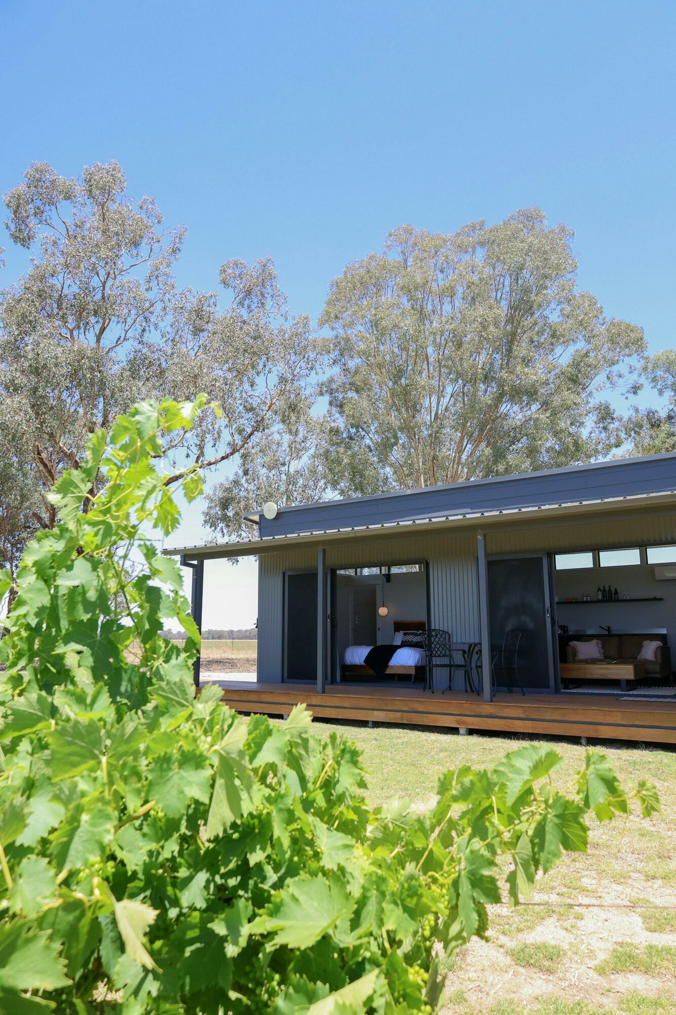 Buller Wines Vineyard View Suit looking out to vineyard