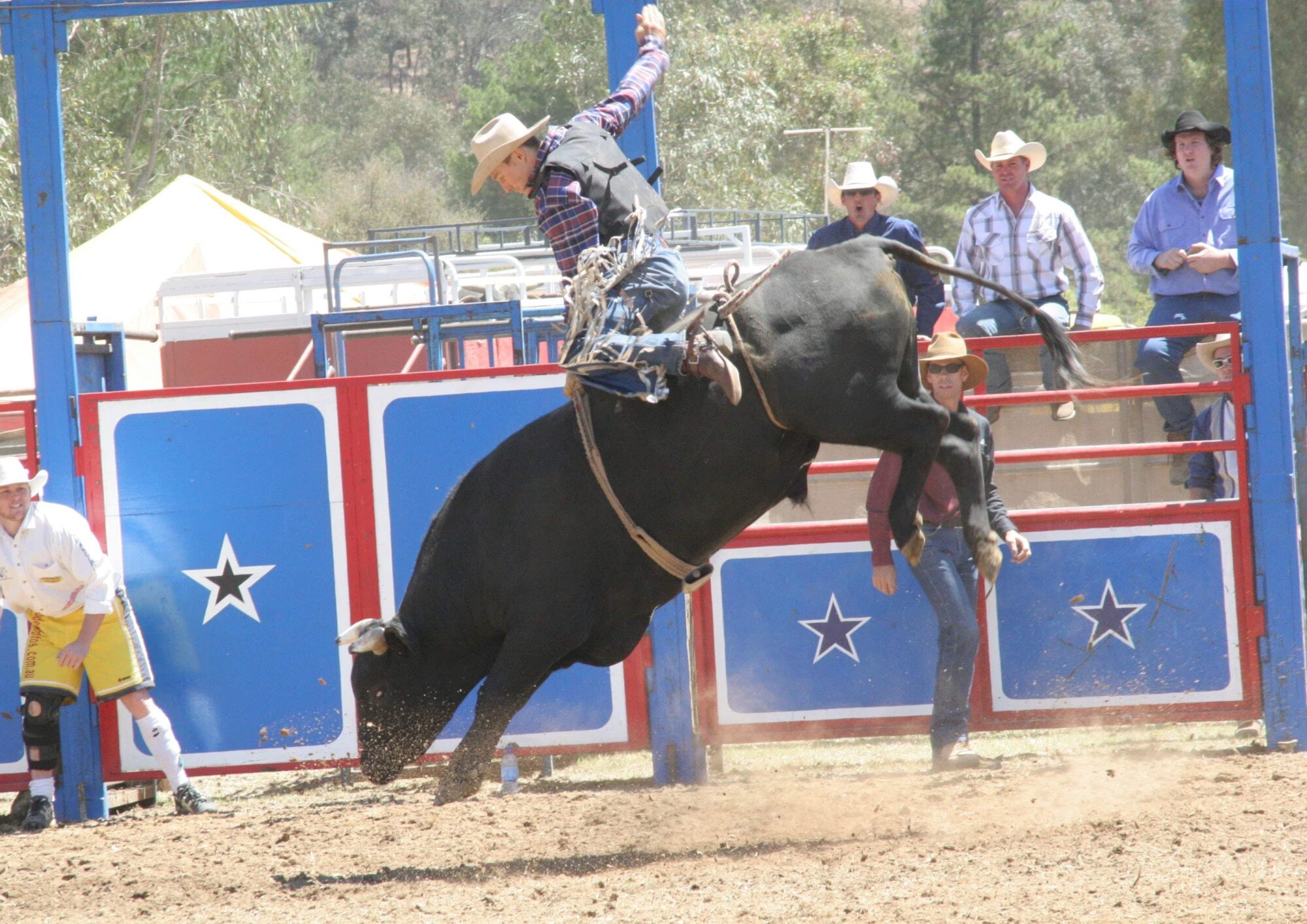 Myrtleford Rodeo