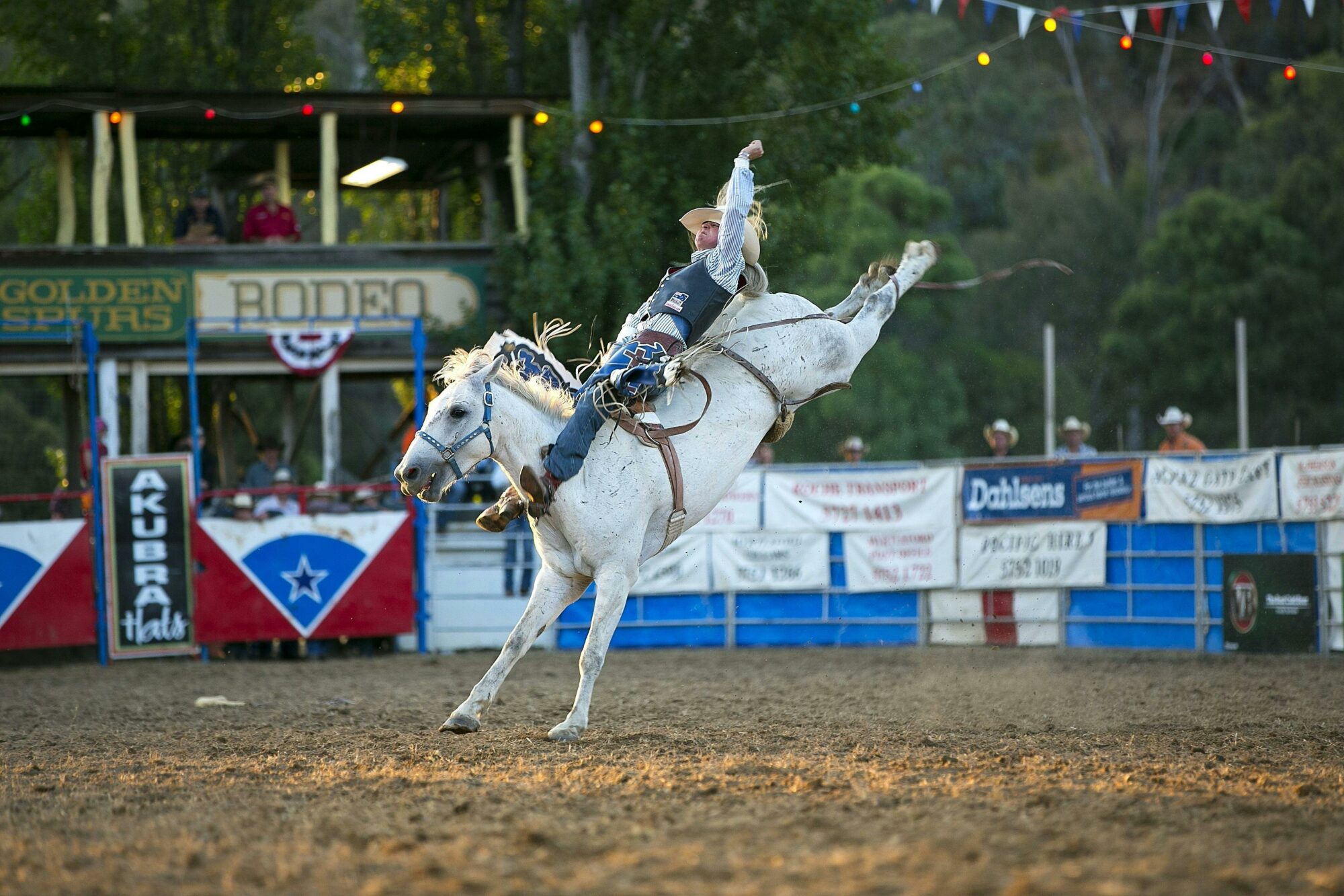 Myrtleford Rodeo