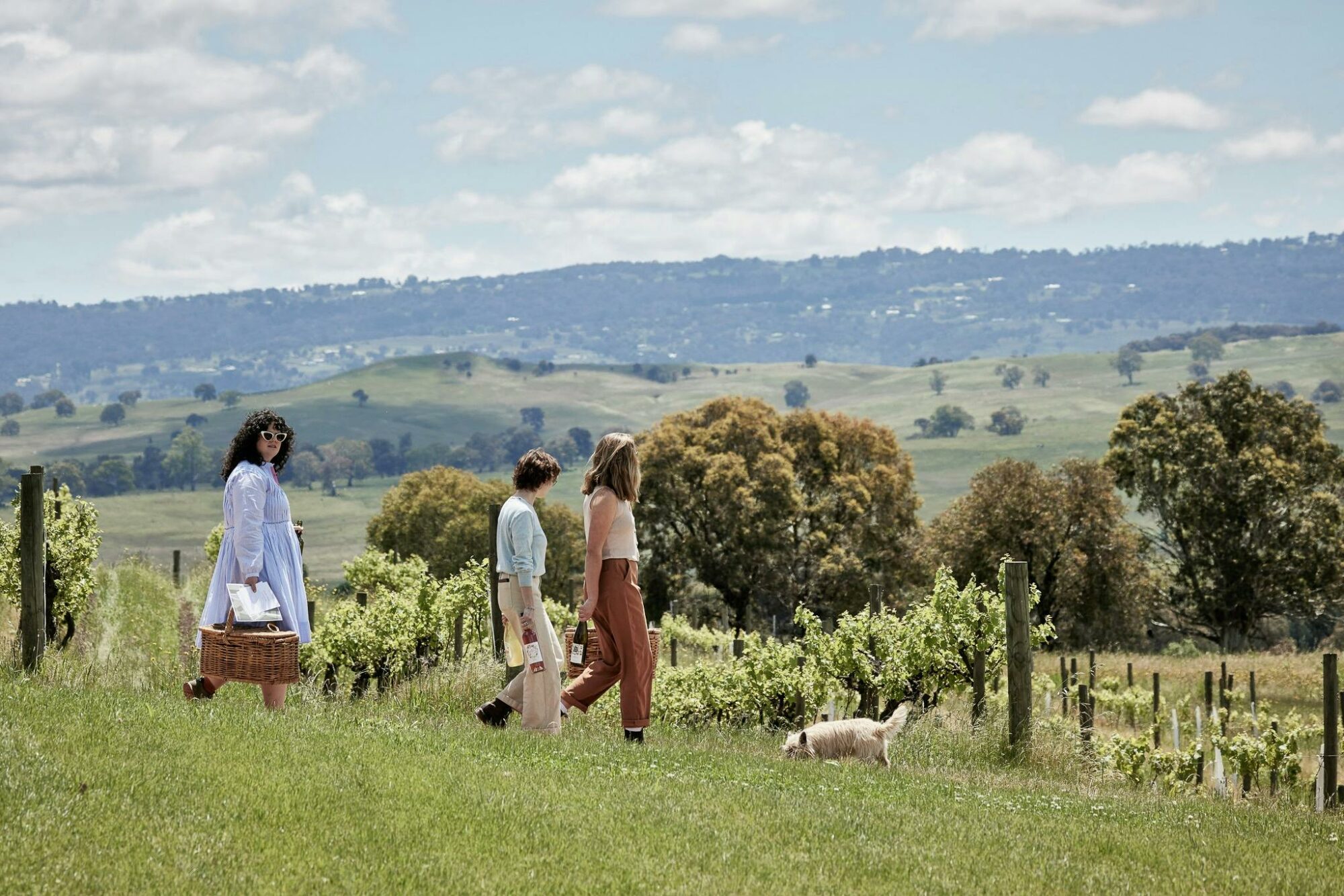 Three people walking past vines, down a hill, holding picnic baskets and wine with a dog