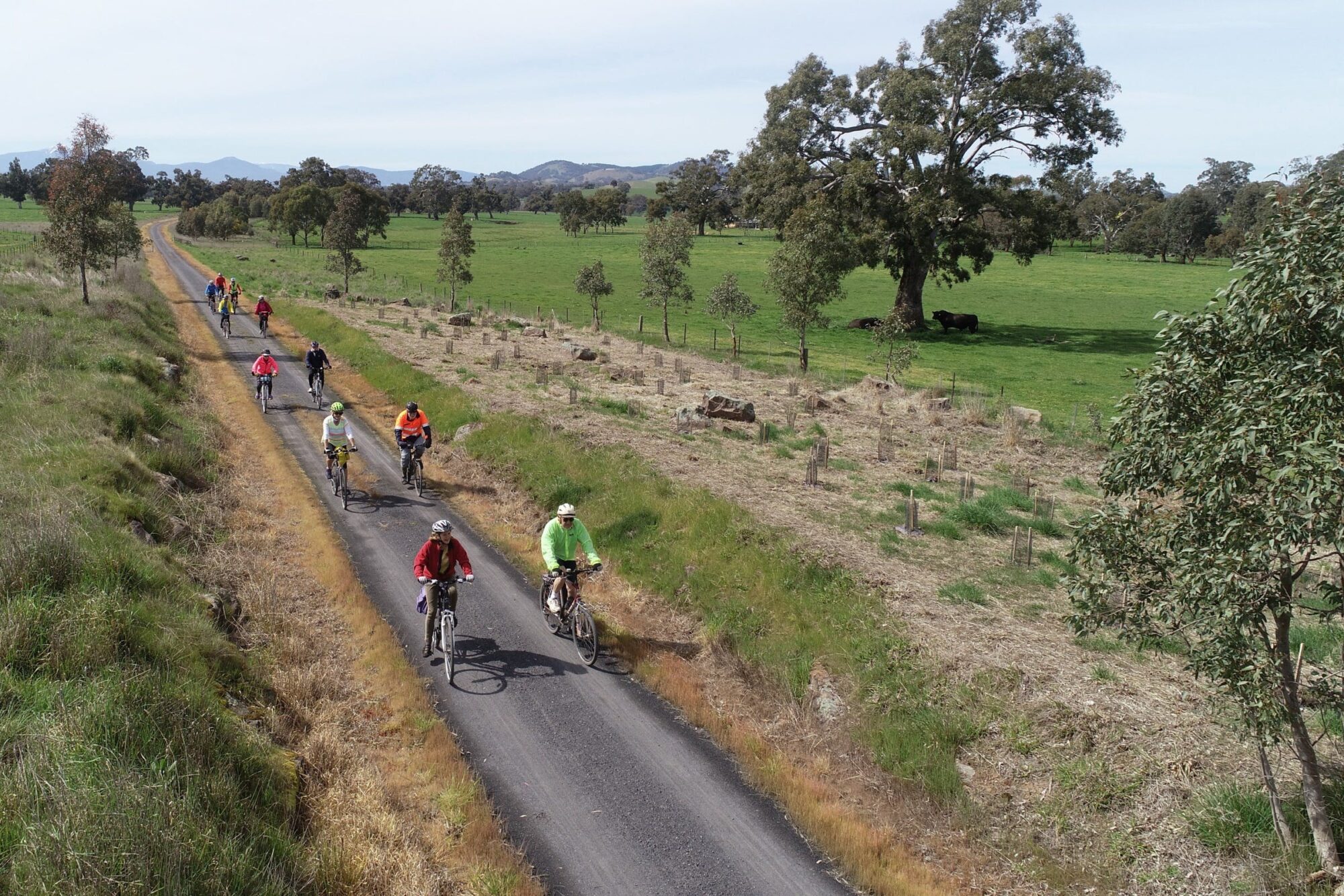 Riding the Great Victorian Rail Trail as it approaches Oliver's Road, Mansfield