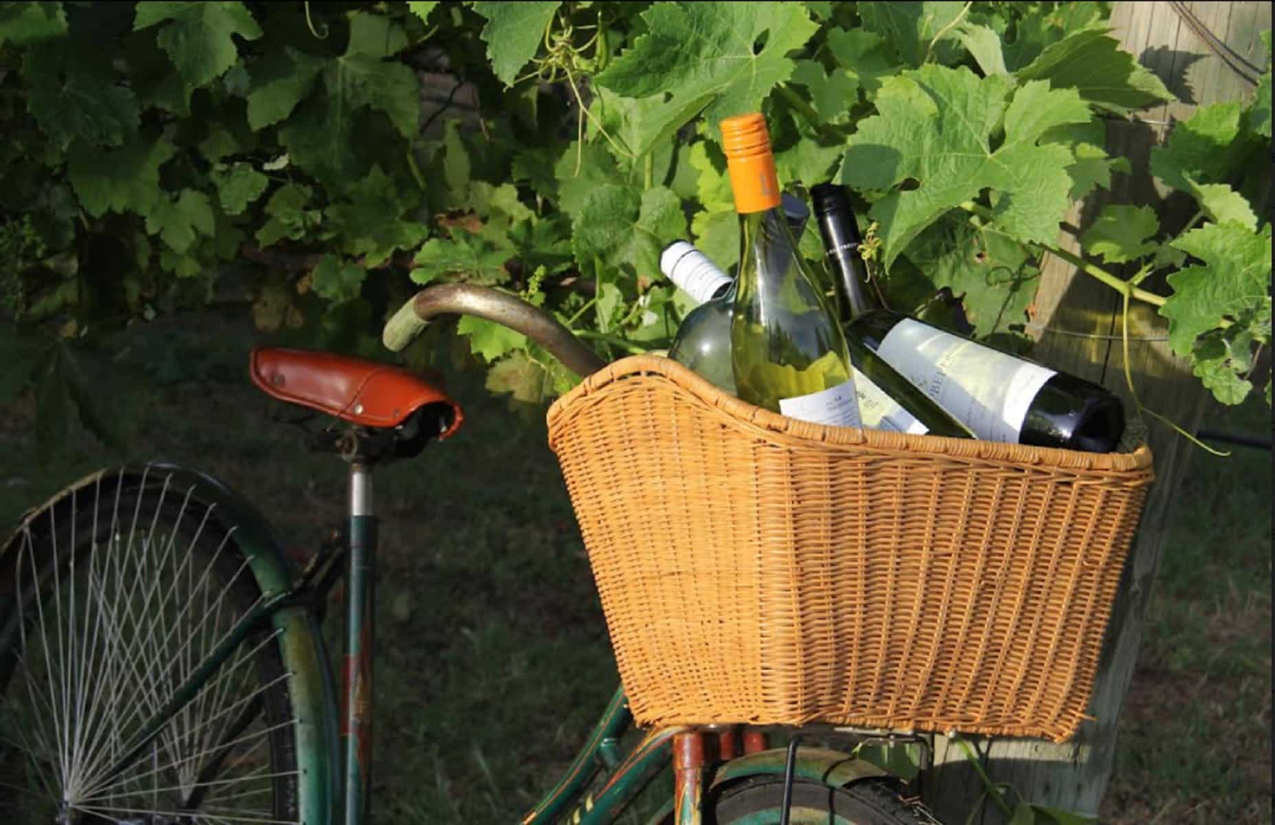 a bike with a wicker basket filled with wine bottles