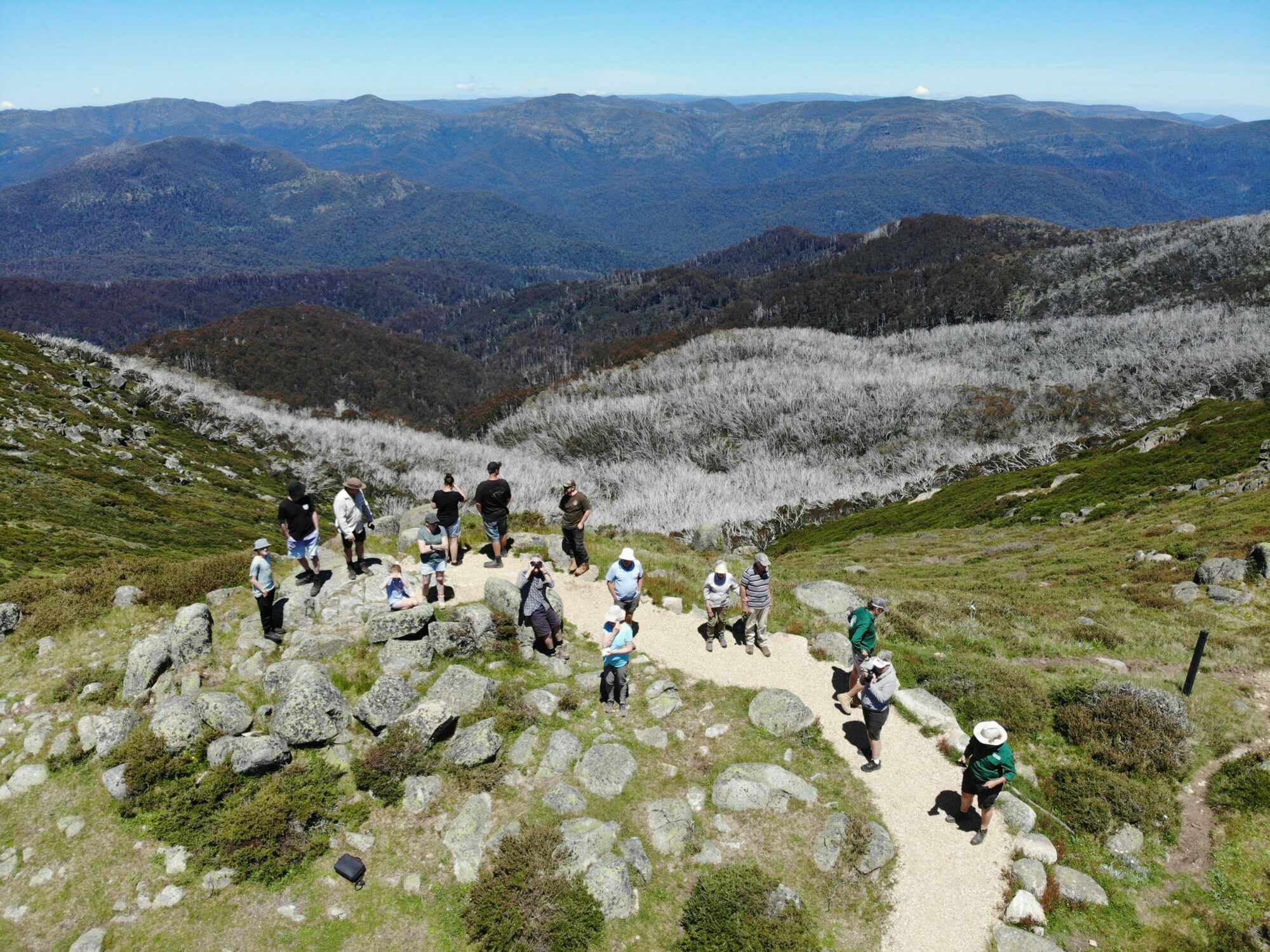 Victorian High Country Alps View