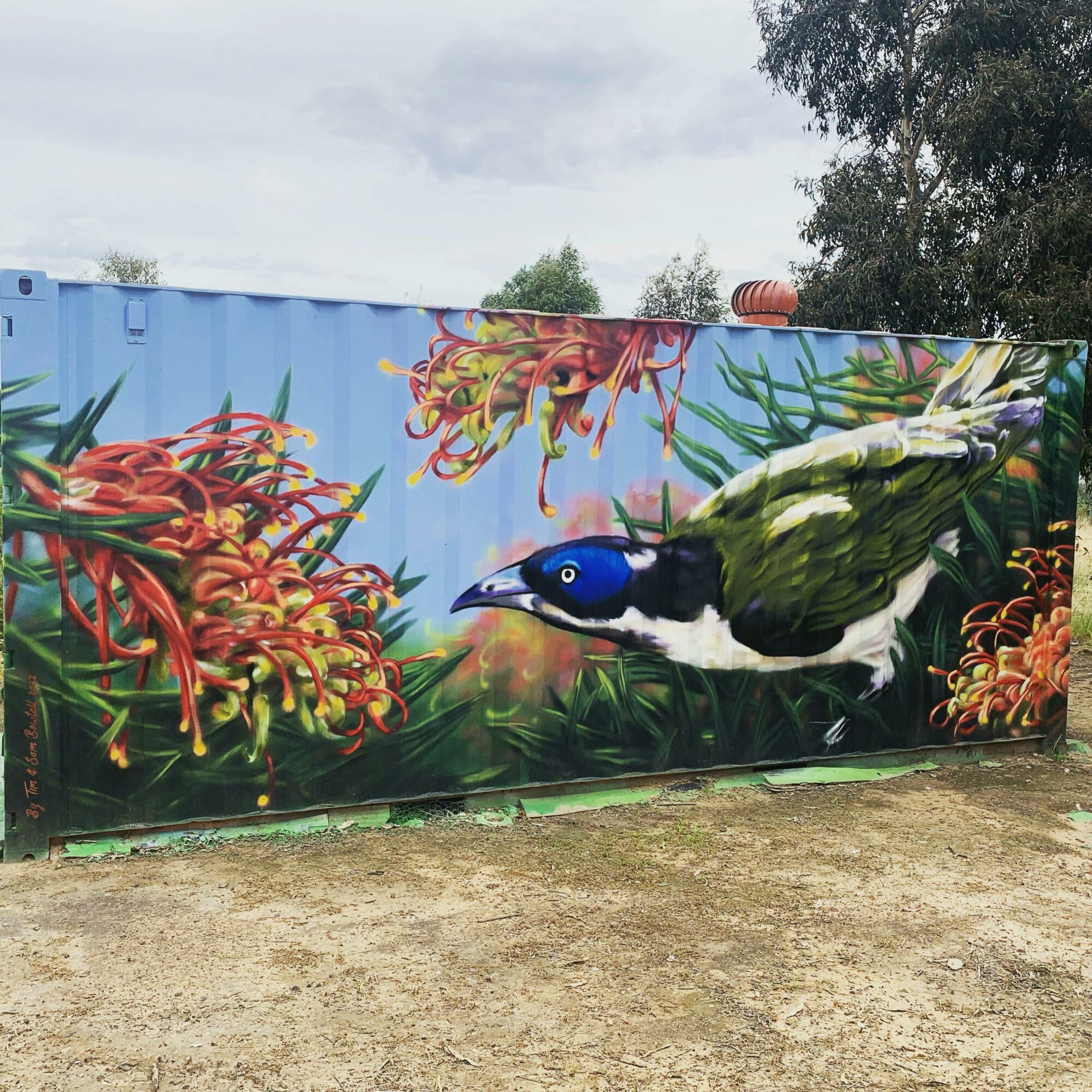 Blue Faced Honey Eater Mural can be found at Winton Cemetery.  Artist Tim Bowtell