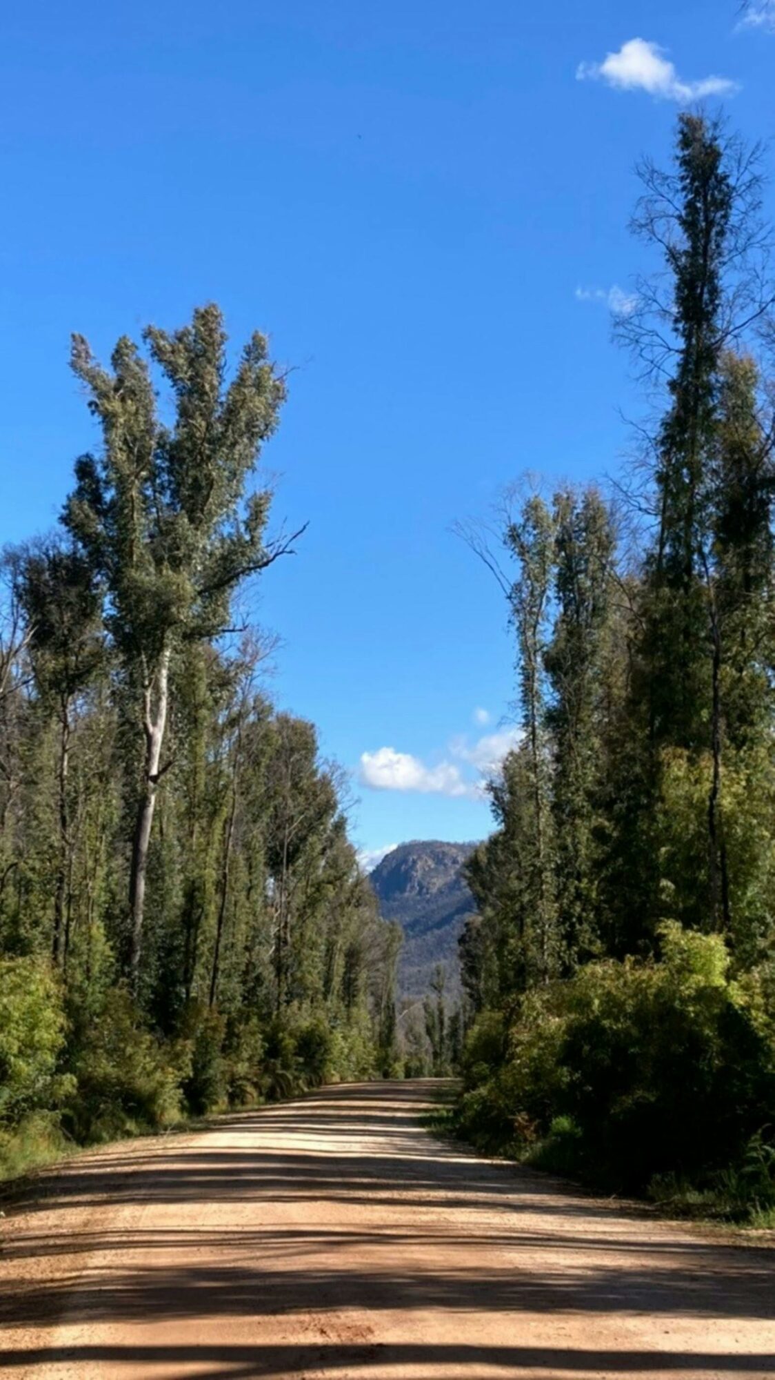 Burrowa Pine Mountain National Park