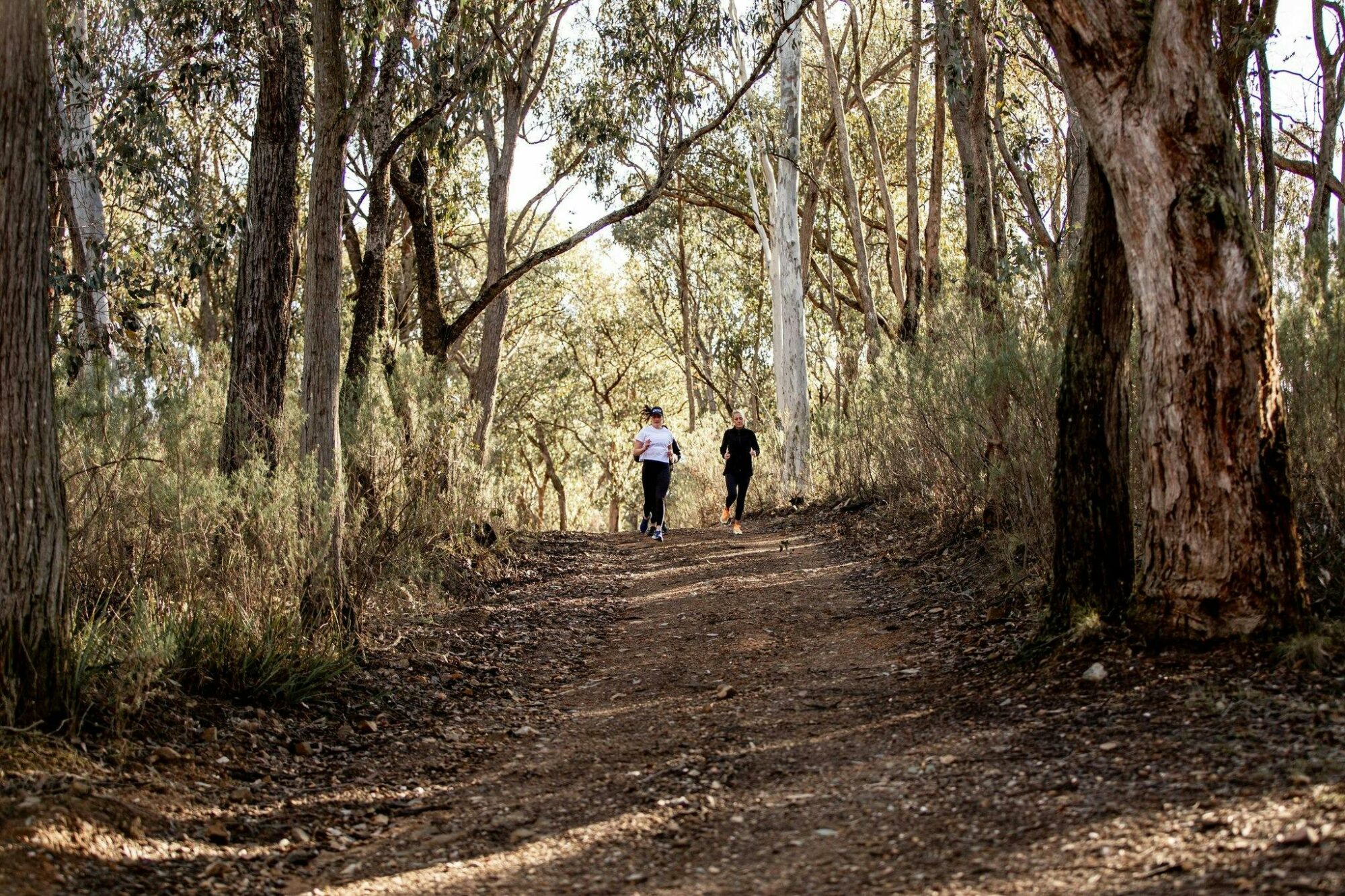 RUnners in the great outdoors in the Upper Murray ahead of the first Run Upper Murray (RUM)