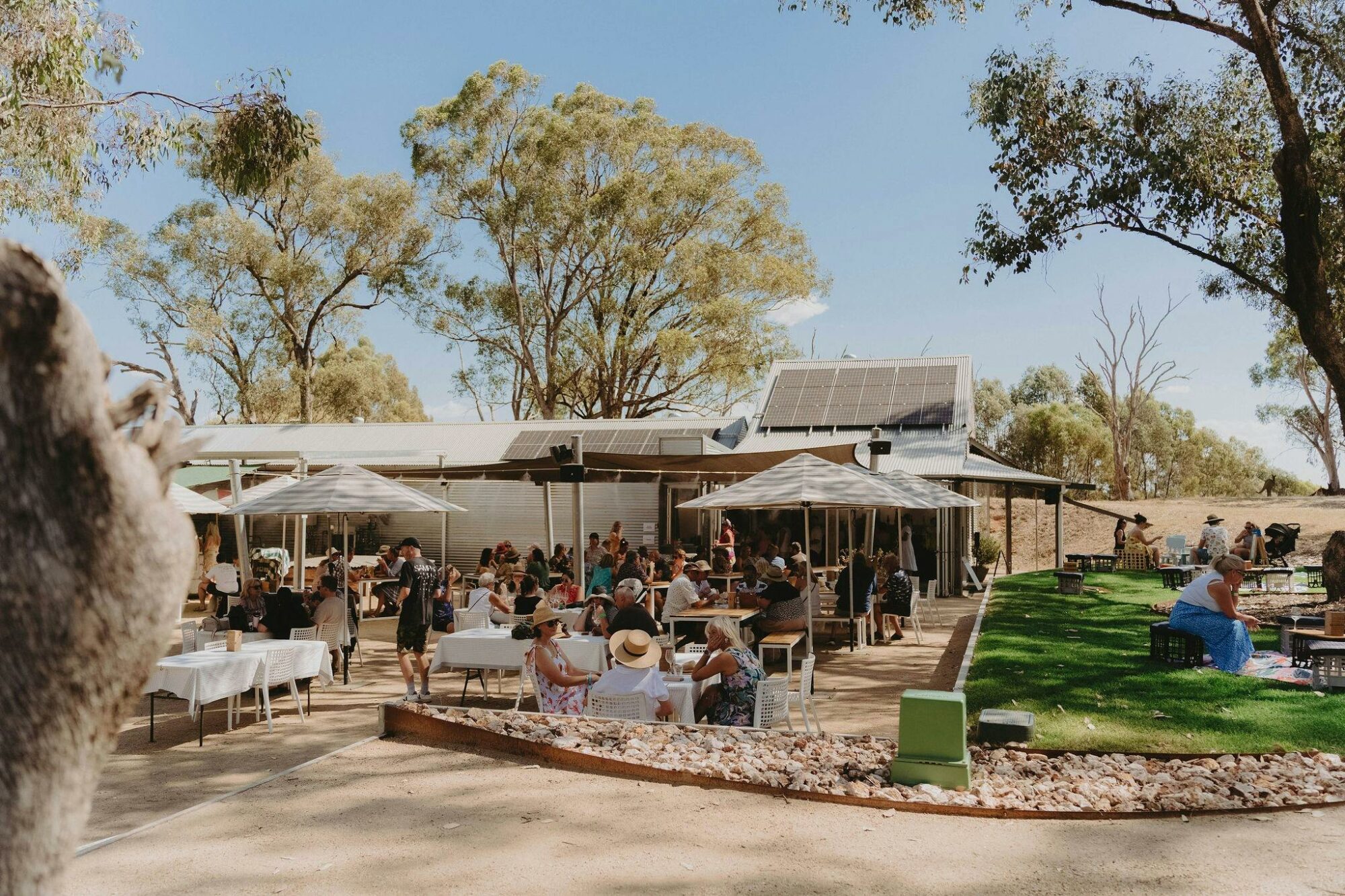 Crowd gathered under umbrellas in front of winery shed