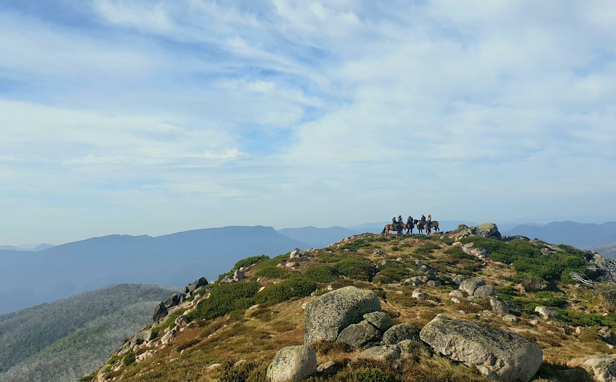 Horse riding Mt Buller & Mt Stirling