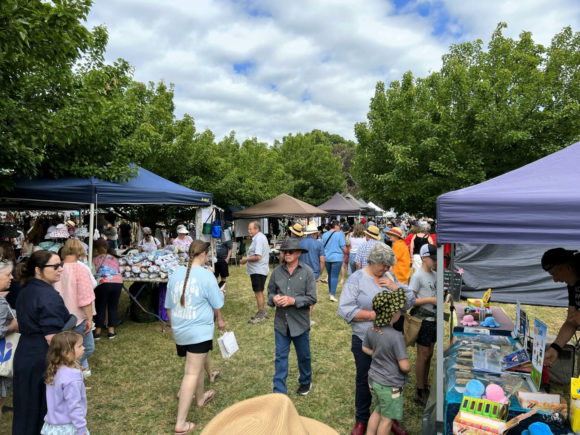 Bush Market