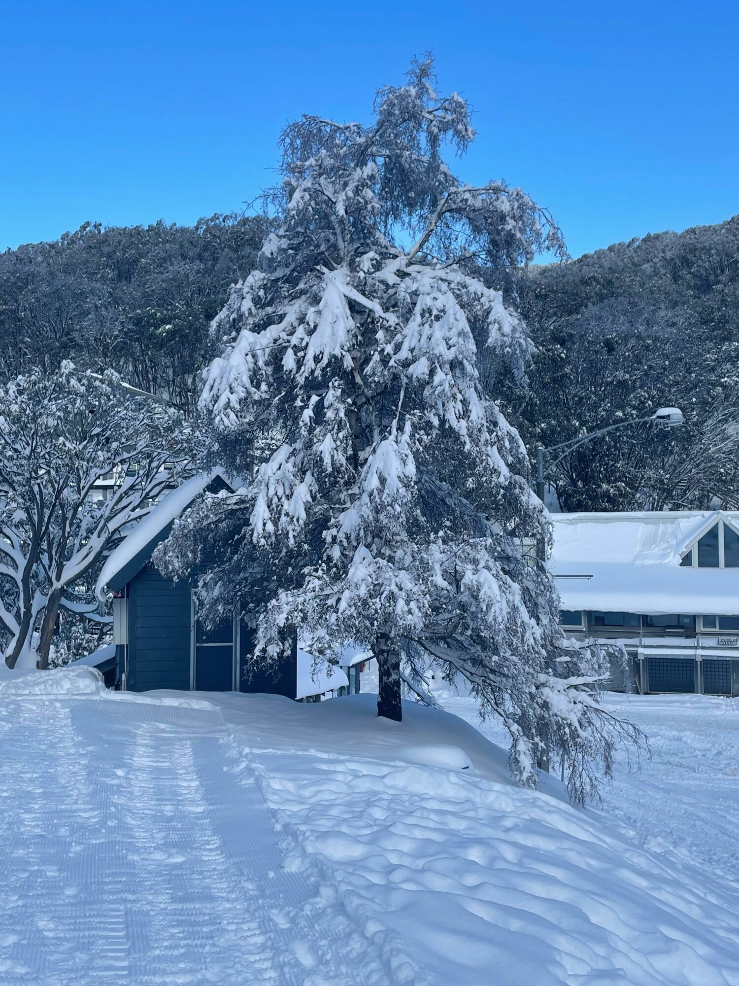 Distillery in Winter