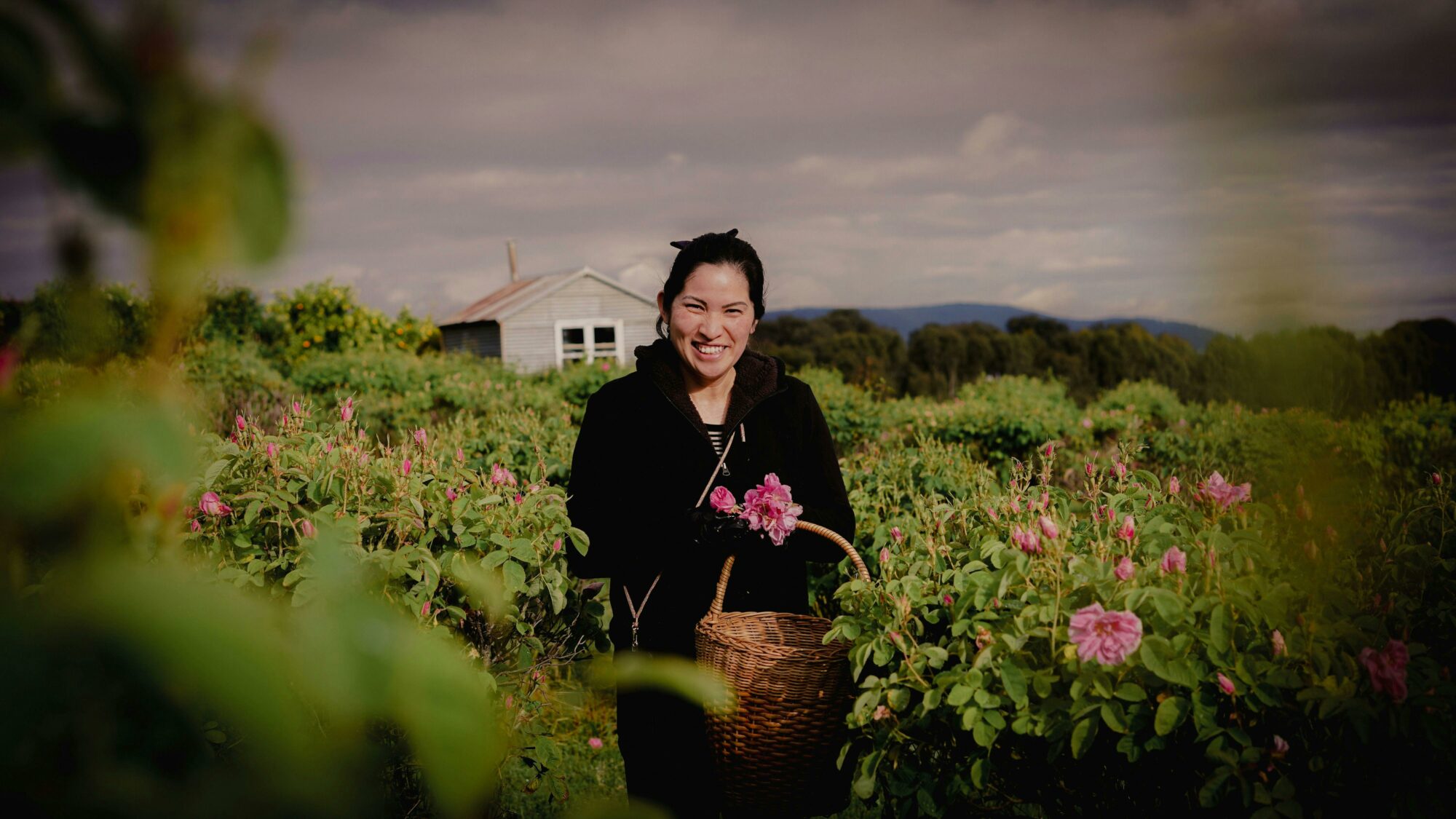 Utako surrounded by damask roses