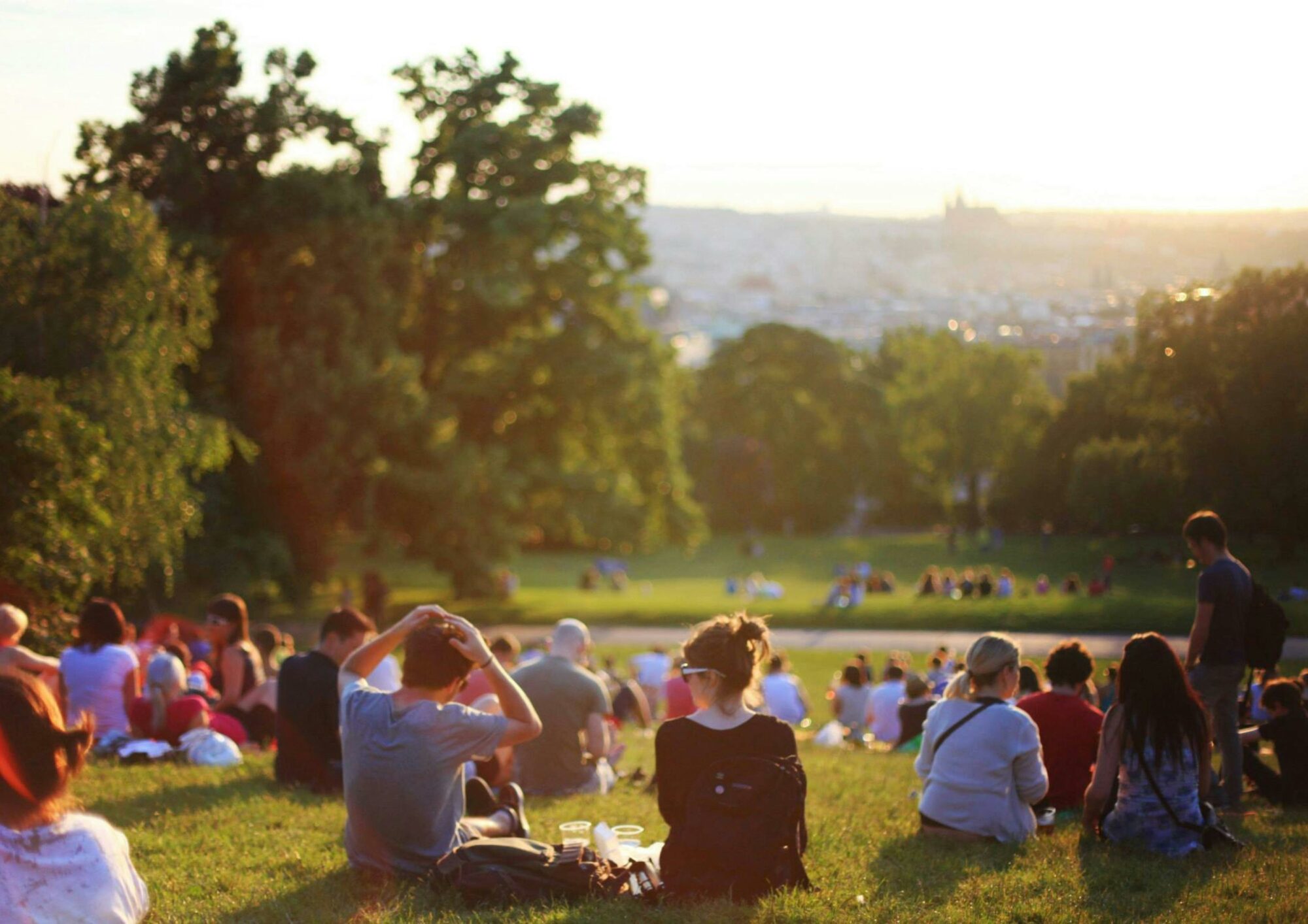 People sitting on the grass, surrounded by green trees