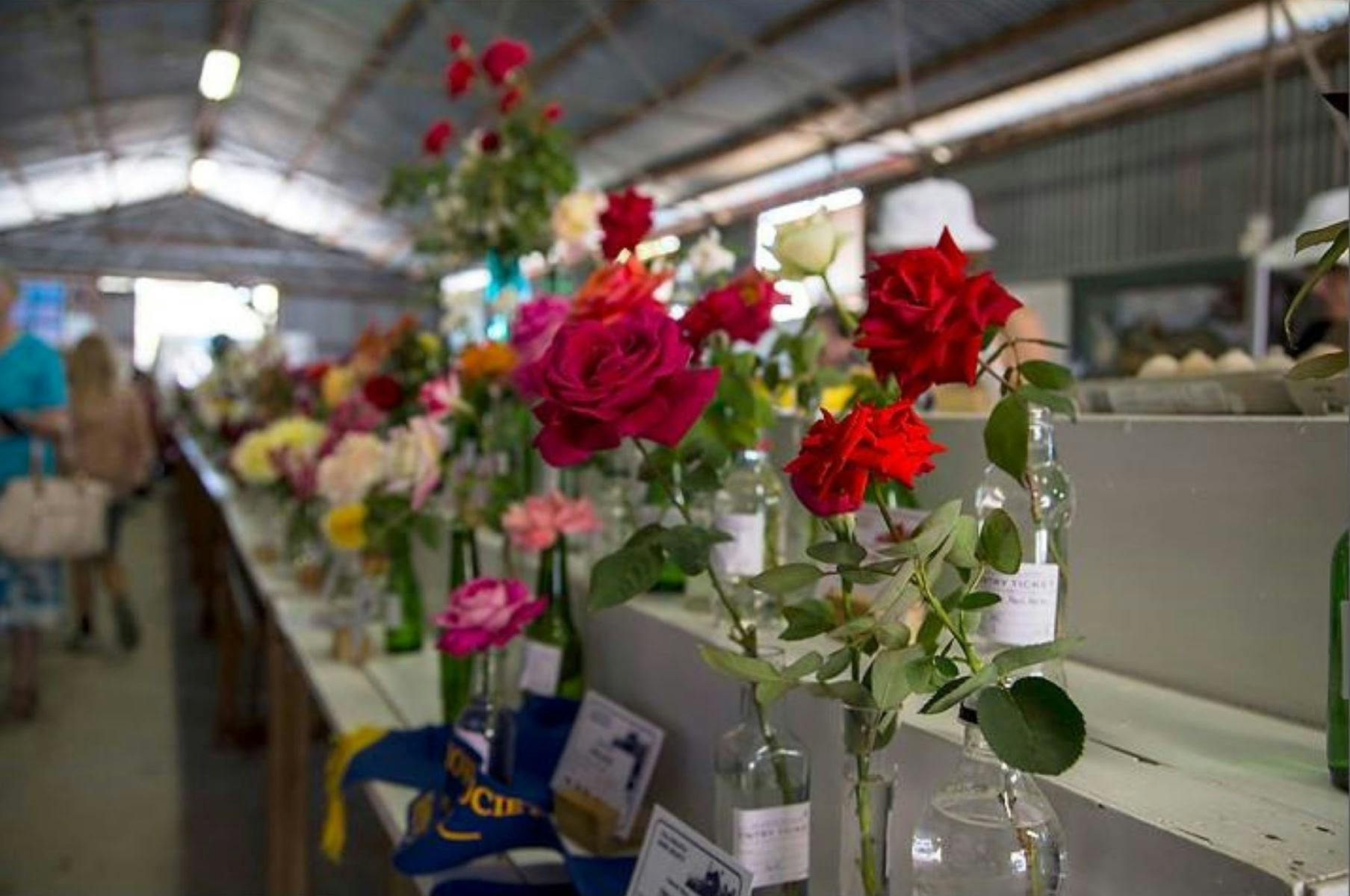 Tallangatta Annual Country Show