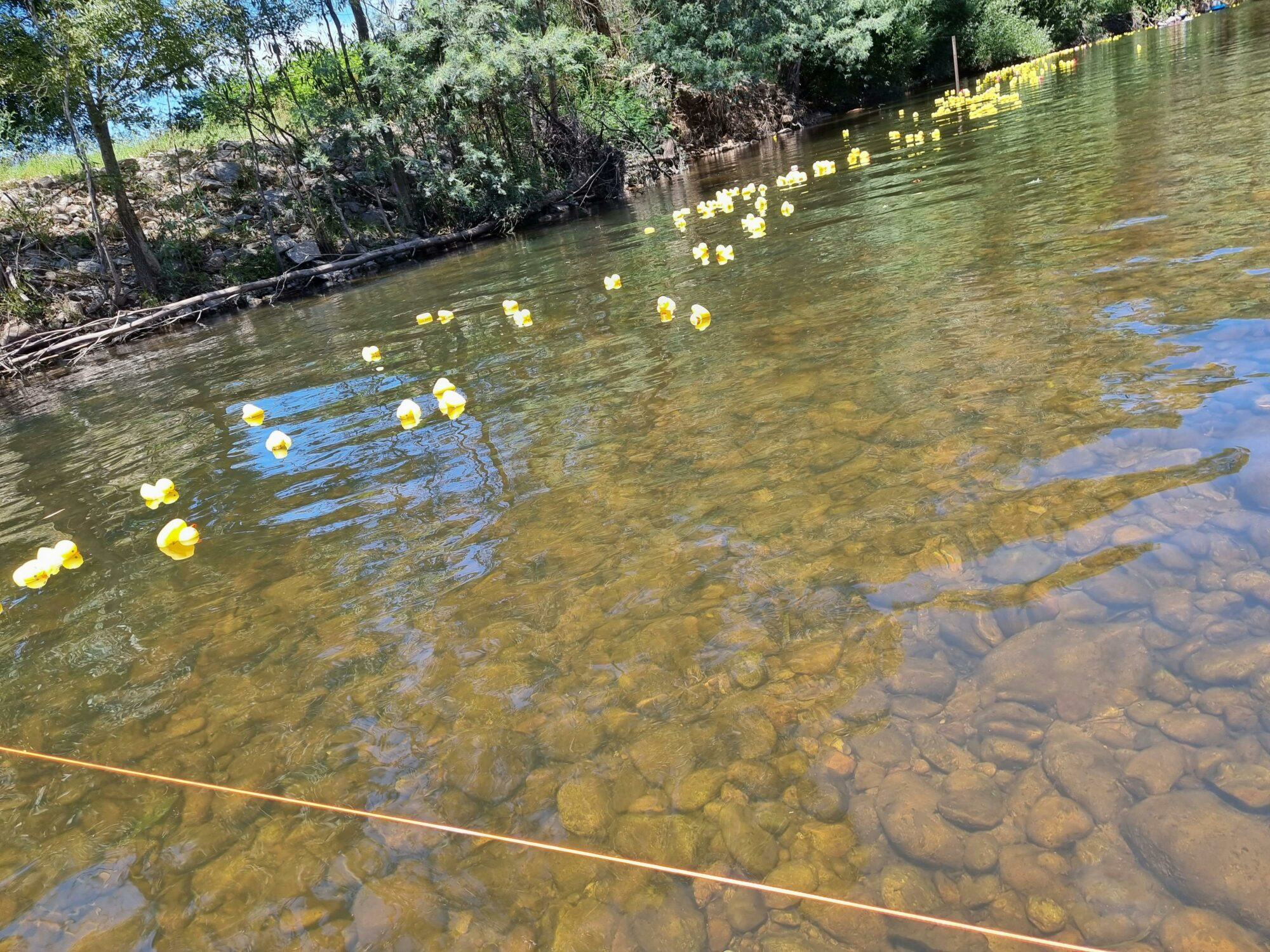 Rubber Duck 2024