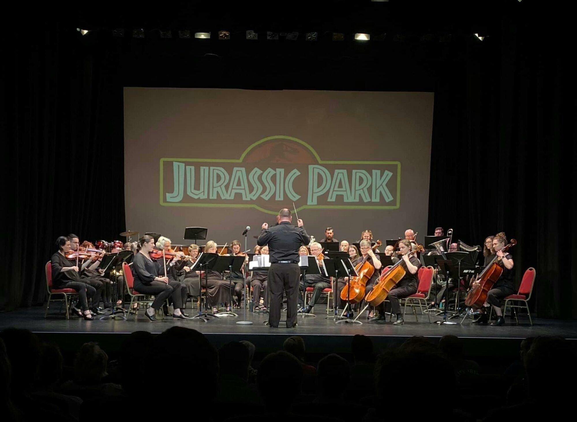picture of the 35-member orchestra playing at a concert in 2024
