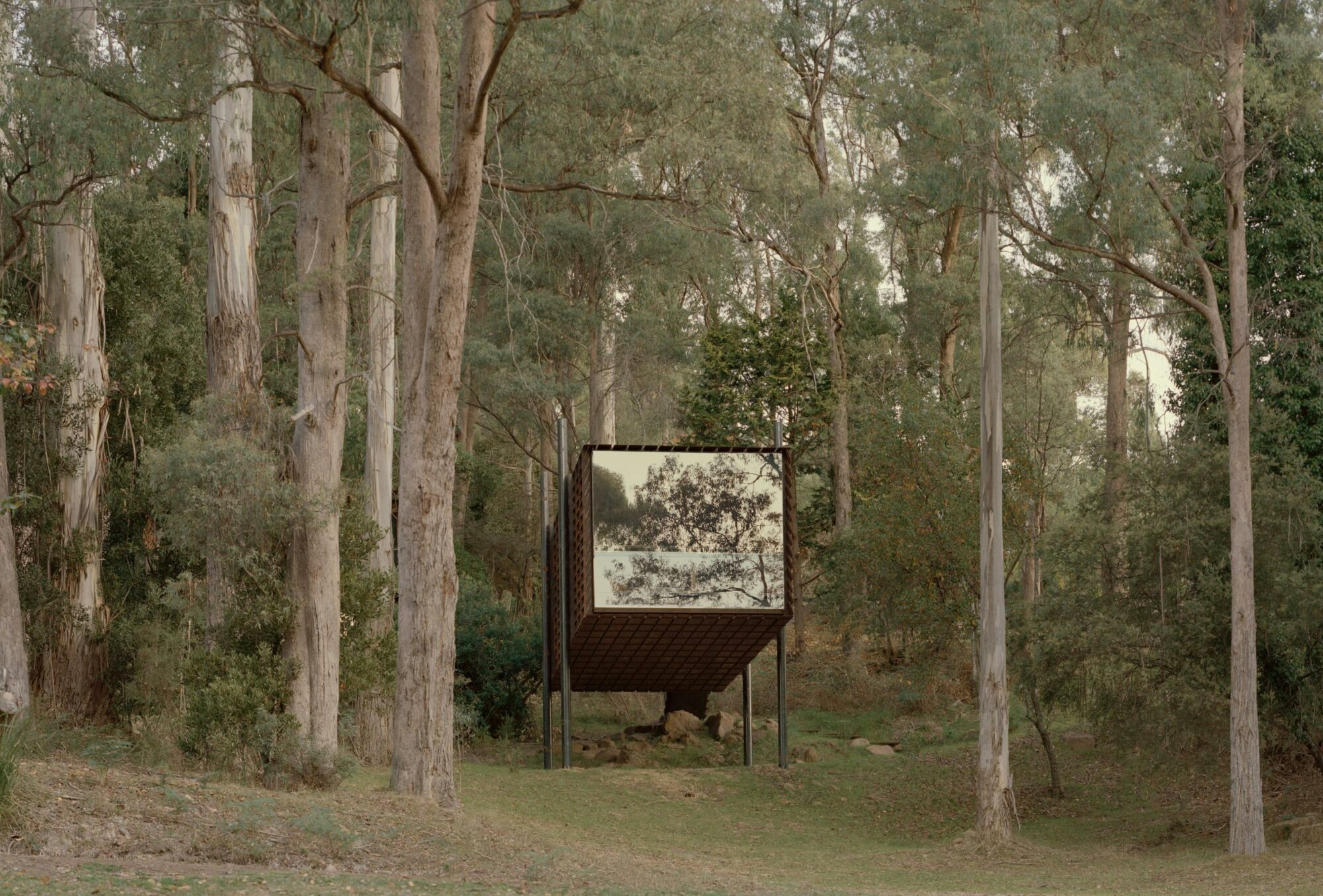 The Treehouse is suspended above the driveway and surrounded by gumtrees