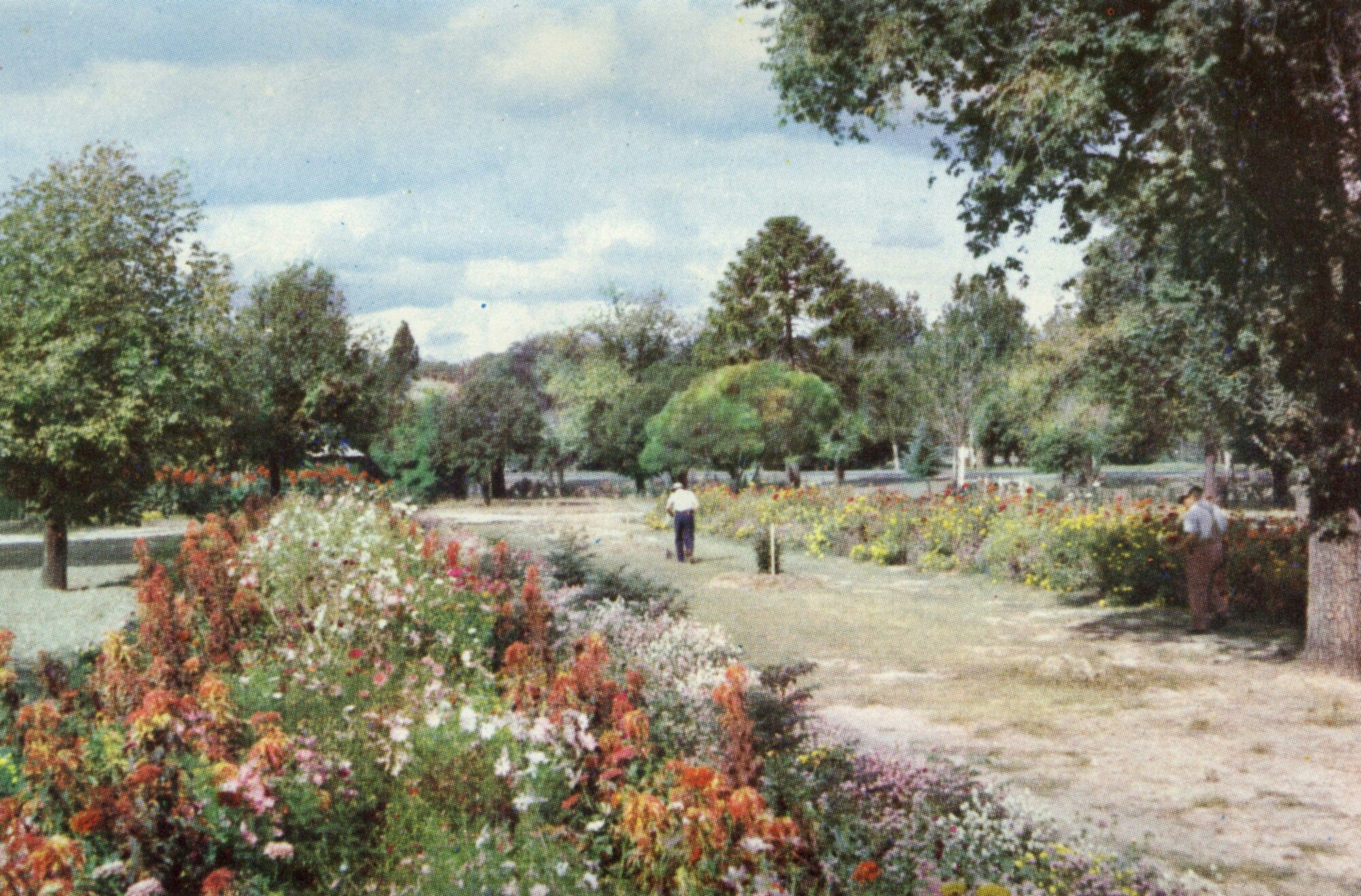 Flower beds at Benalla Botanical Gardens
