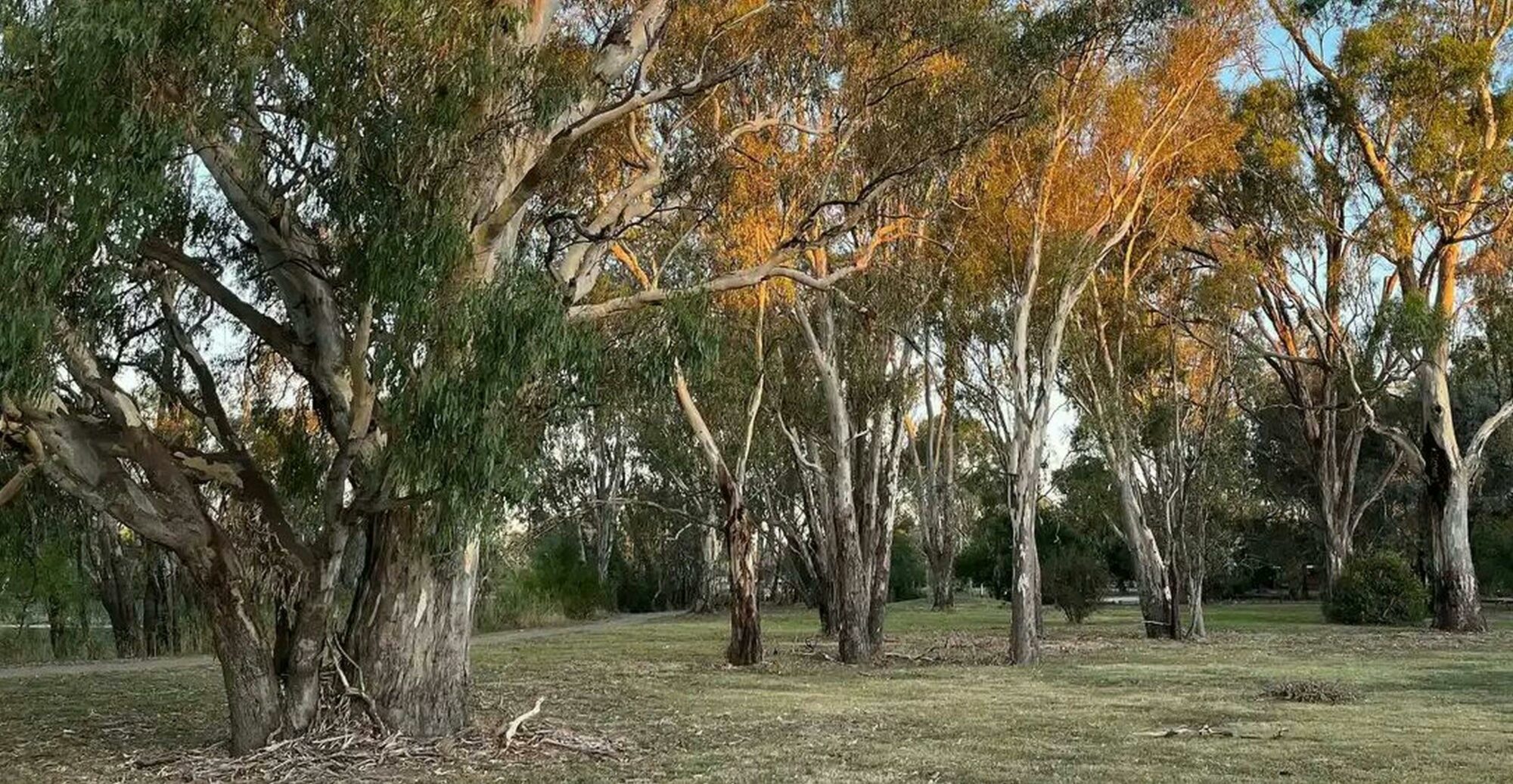 Benalla