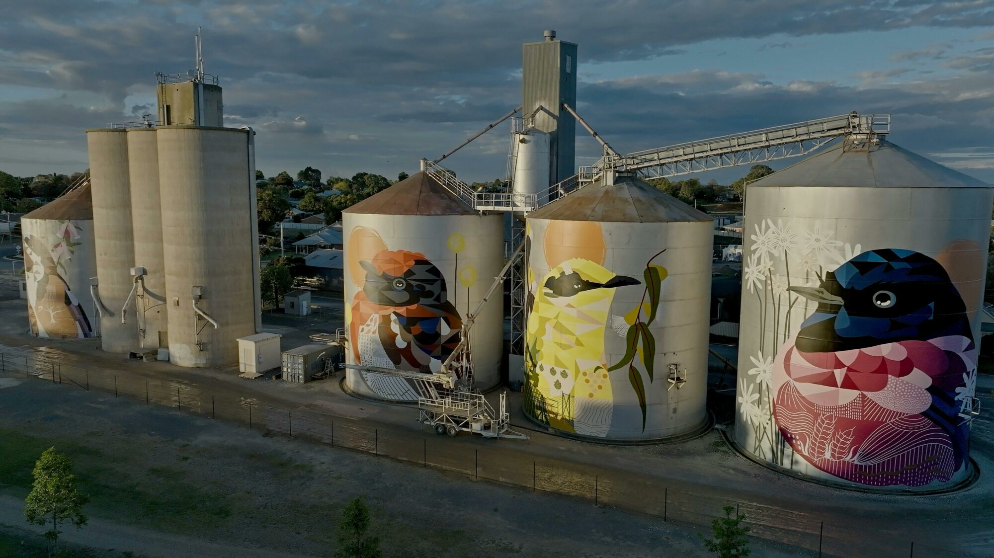 Birds of Seasons - Rutherglen Silo Art from above