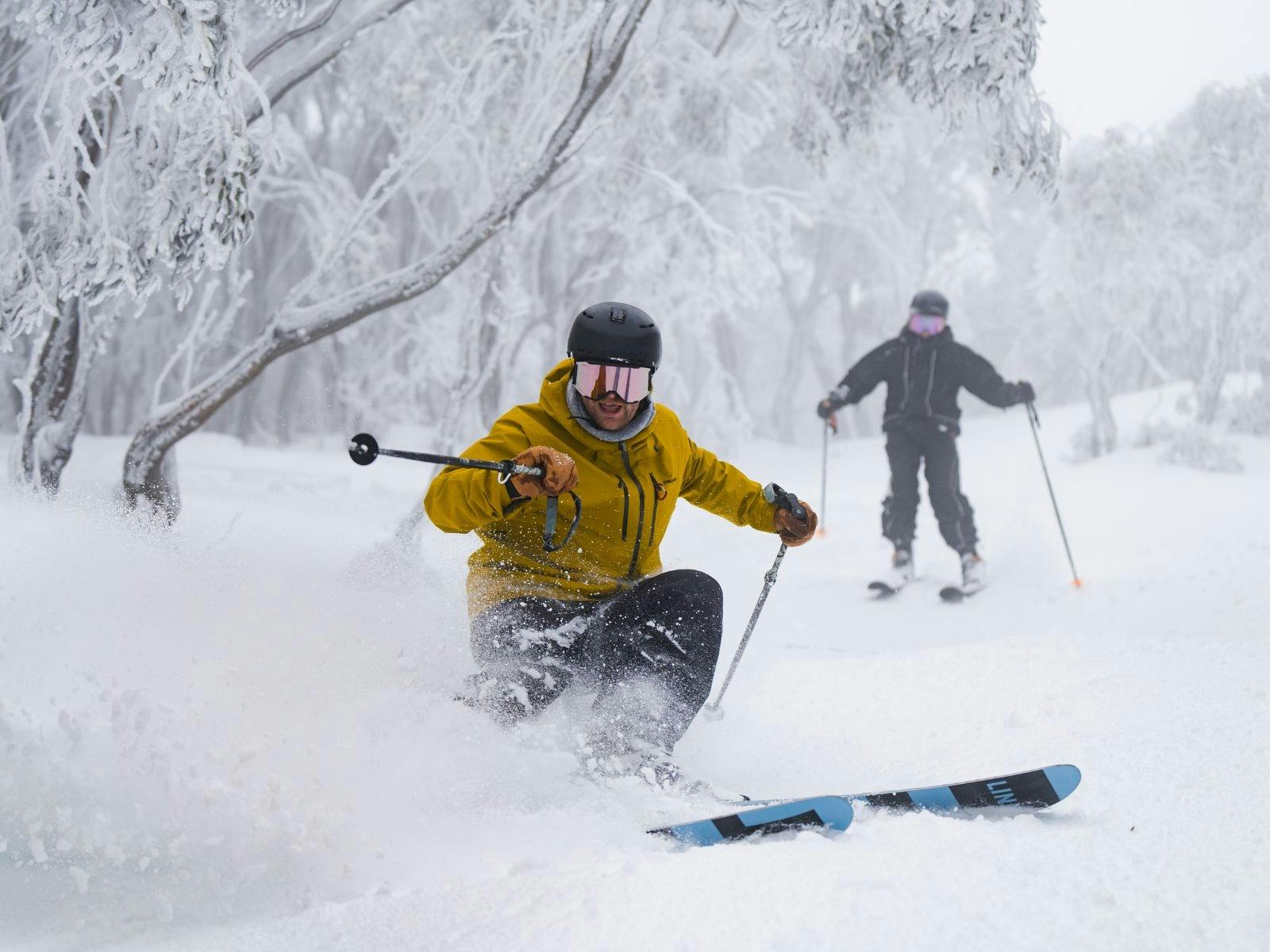 Ski demo days