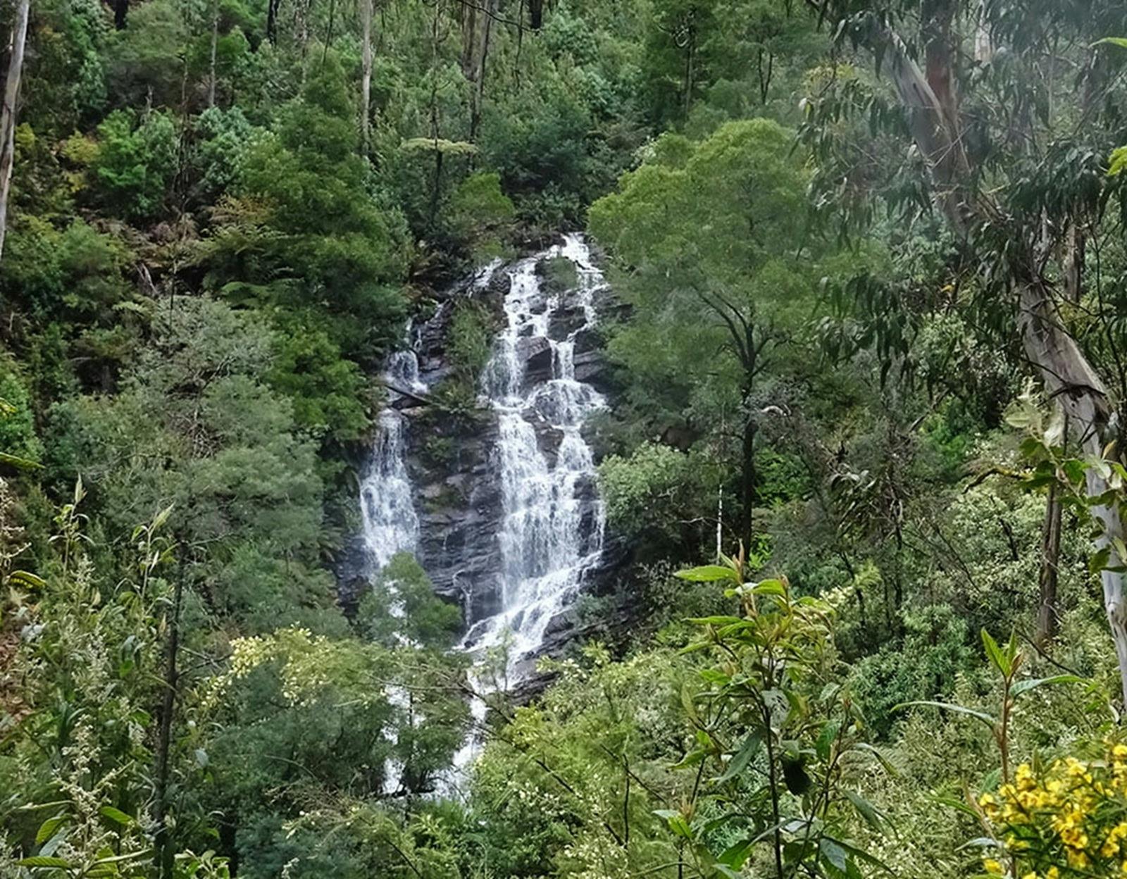 Wombelano Falls