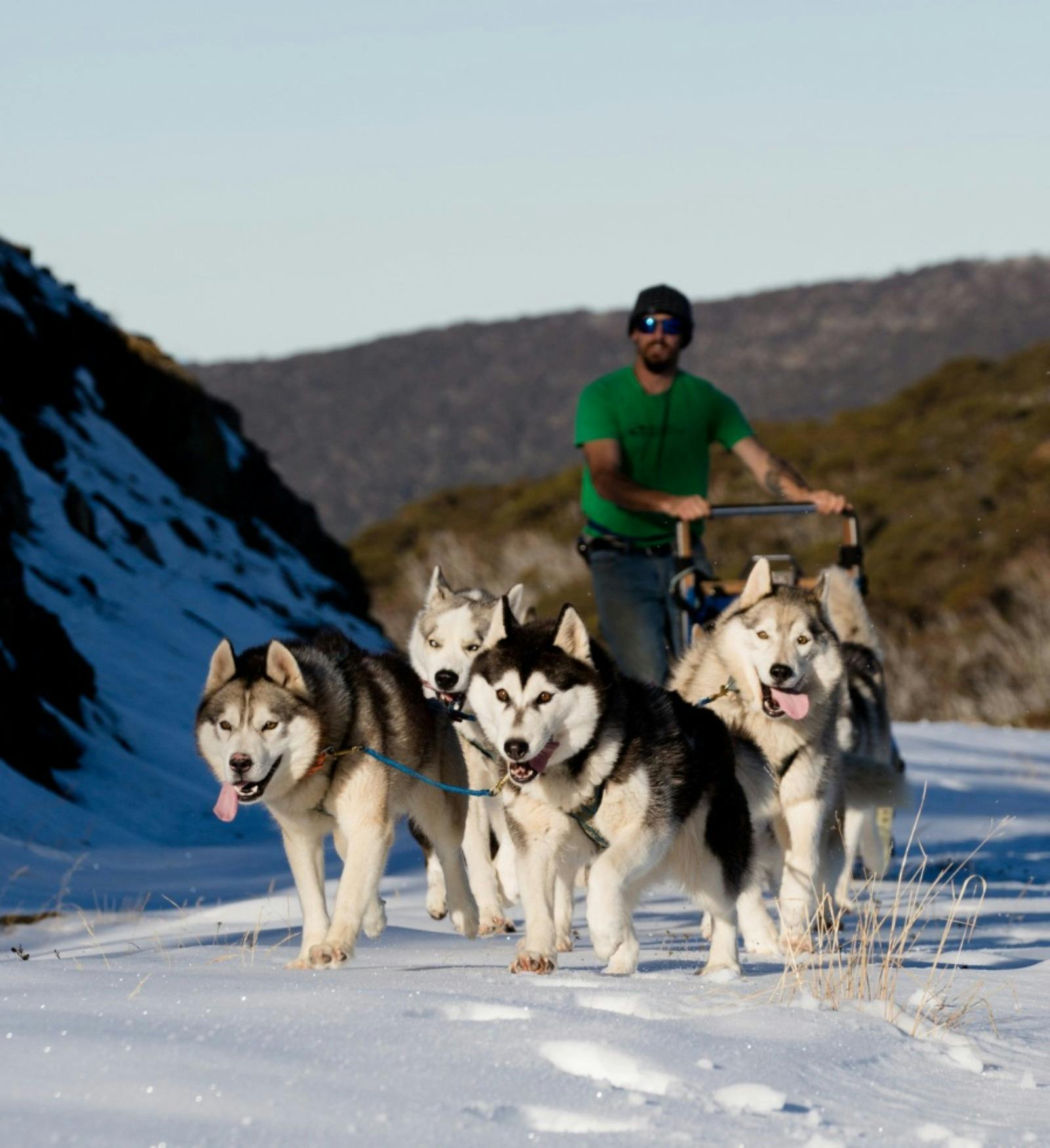 man on a sled led by 4 huskies