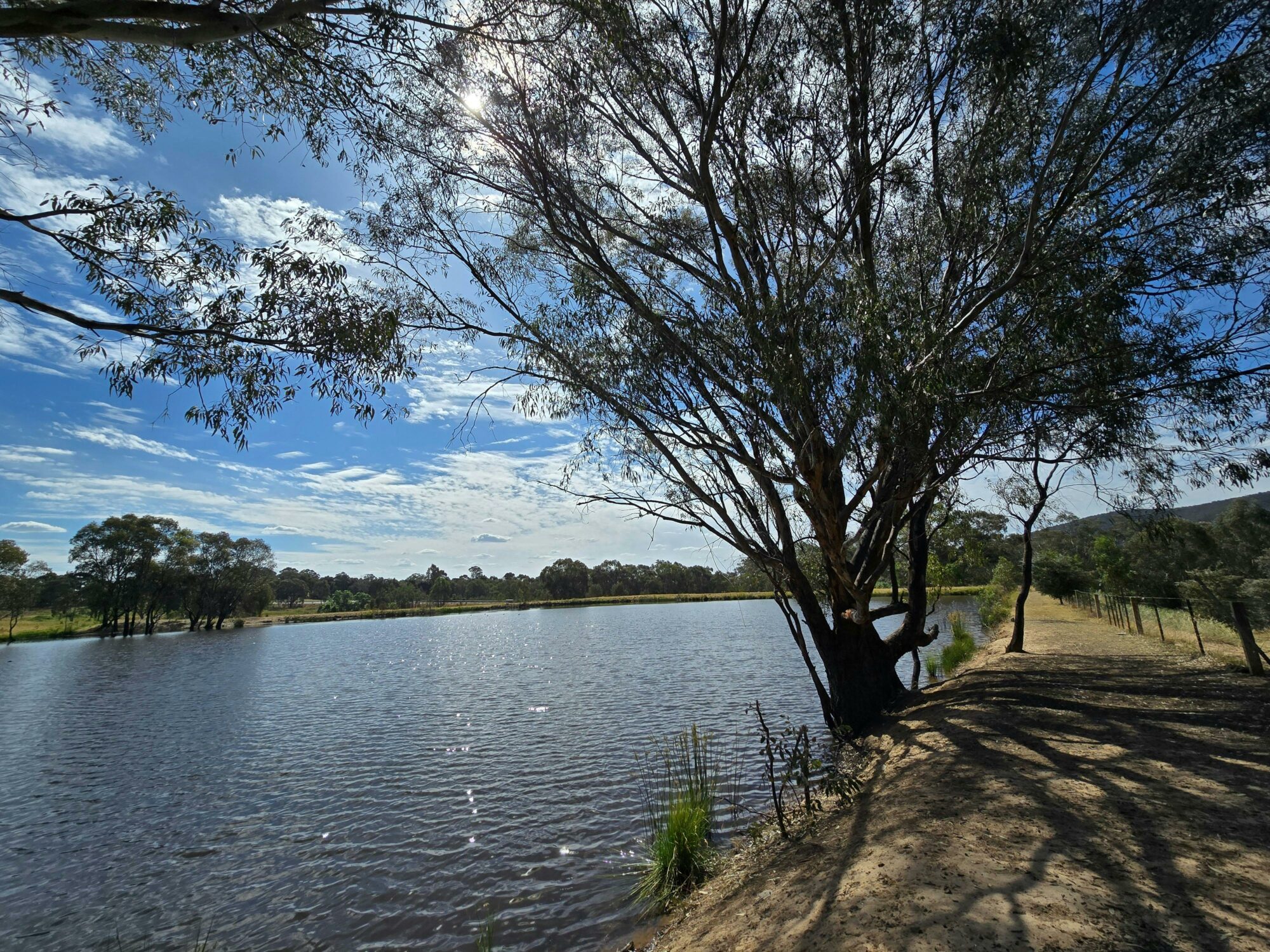 Small dam, lined by a levee bank with trees along the waters edge. Blue sky with some clouds.