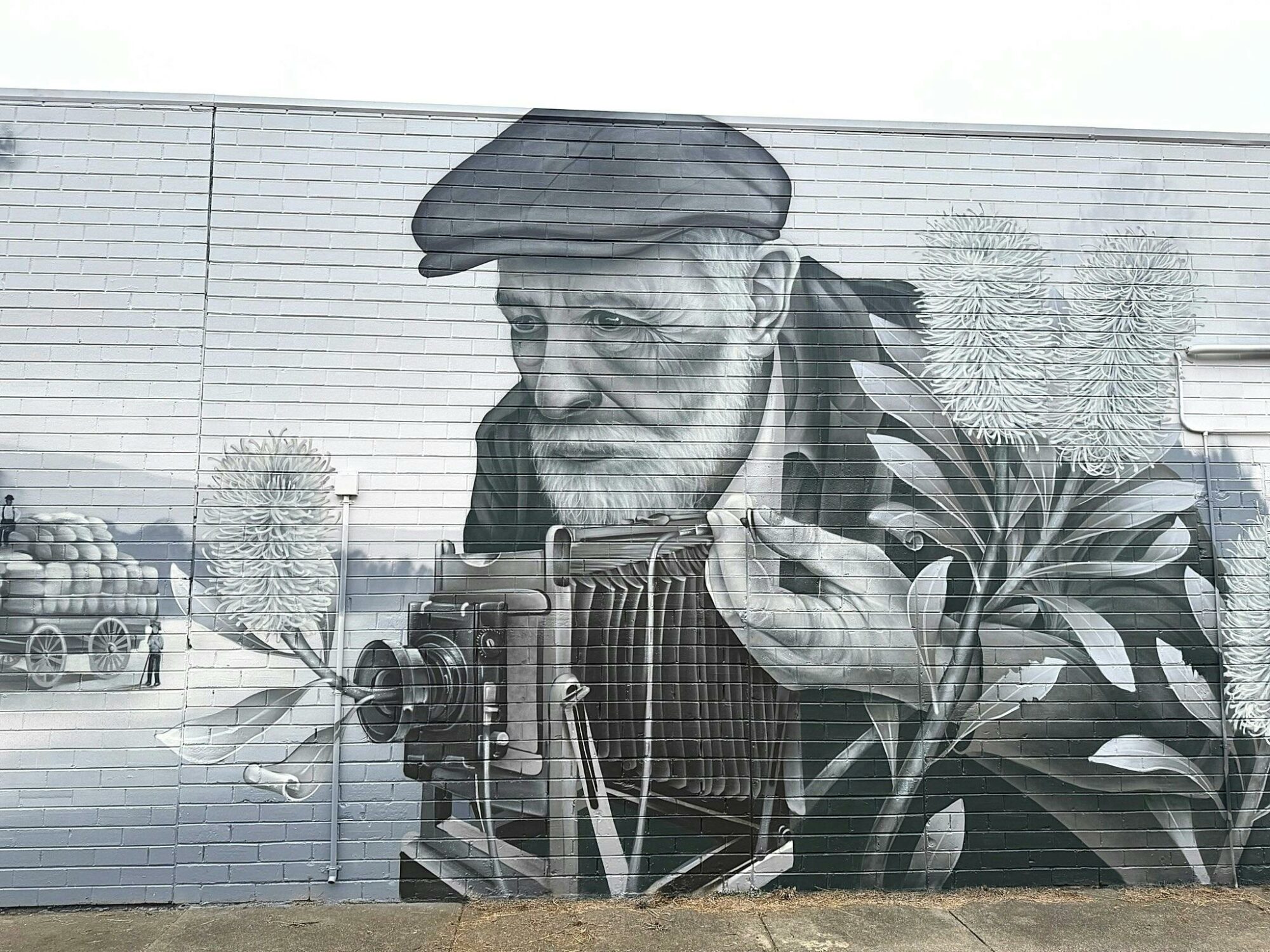 The monochrome 'Honouring Arnold Playle' mural can now be seen installed at Corryong