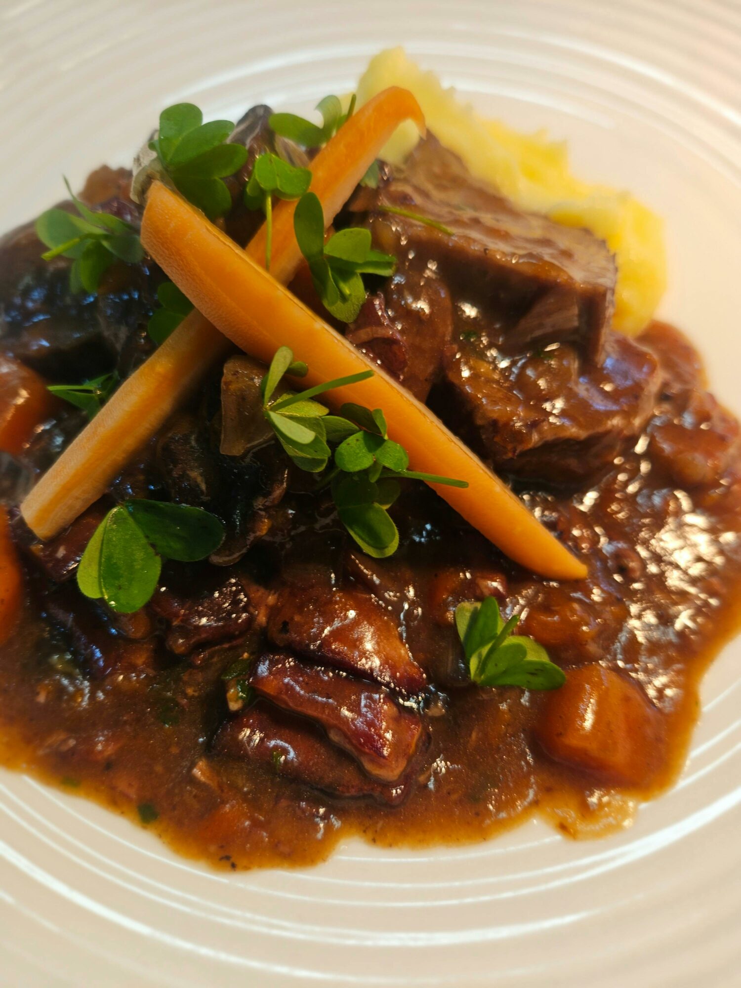 Beef dish plus carrots