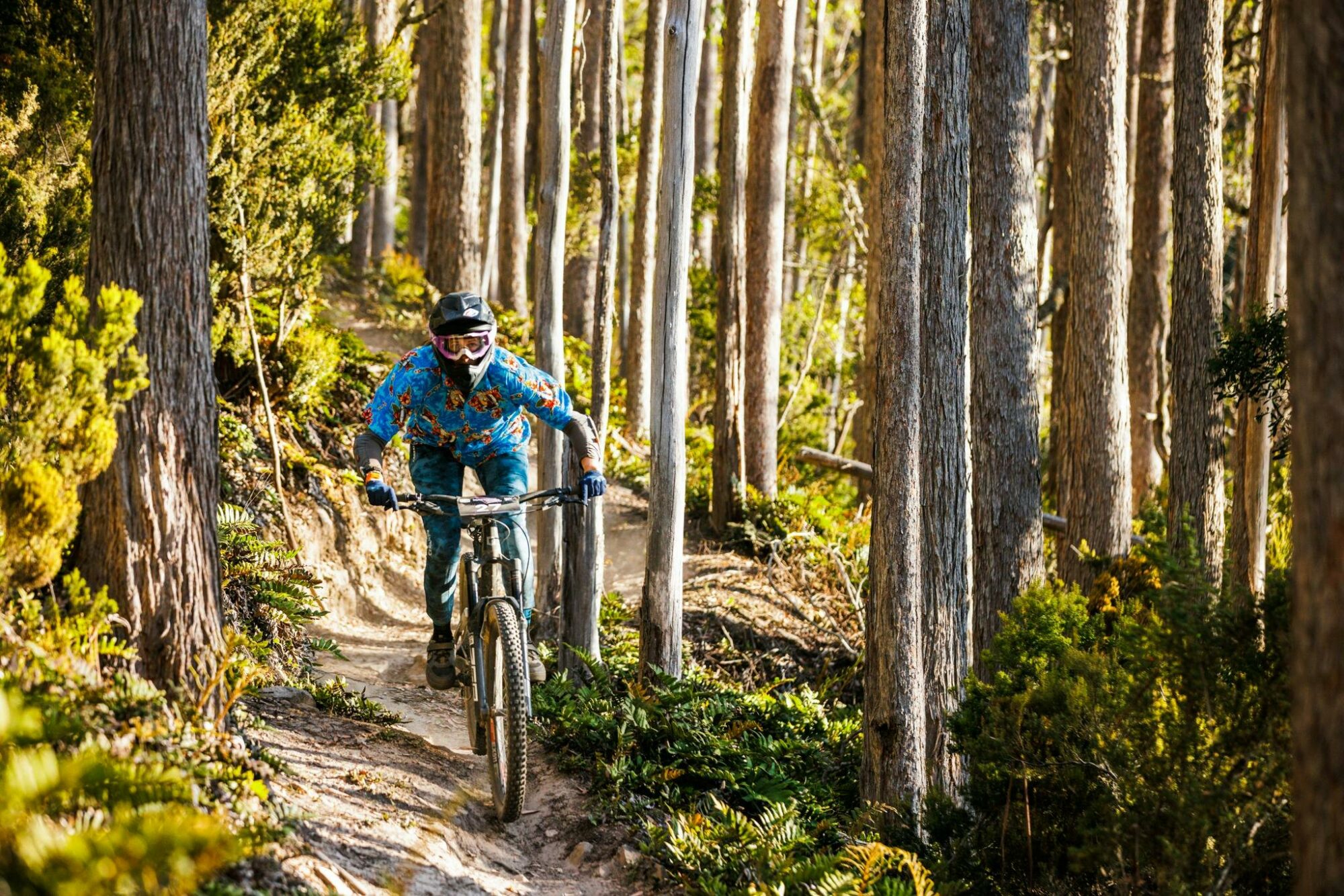 rider in amongst dense forest at Mystic Bike Park with party shirt for Trail Wake event