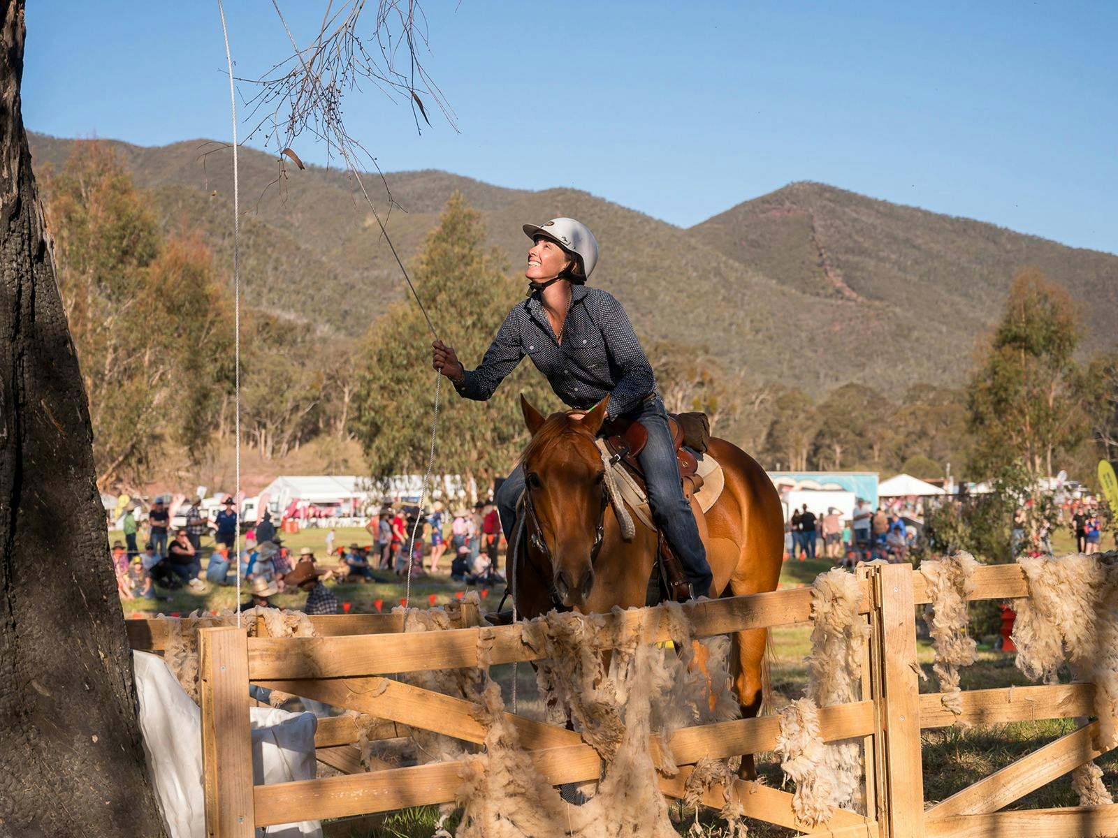 Horse Challenge The Mountain Cattlemen's Annual Get Together
