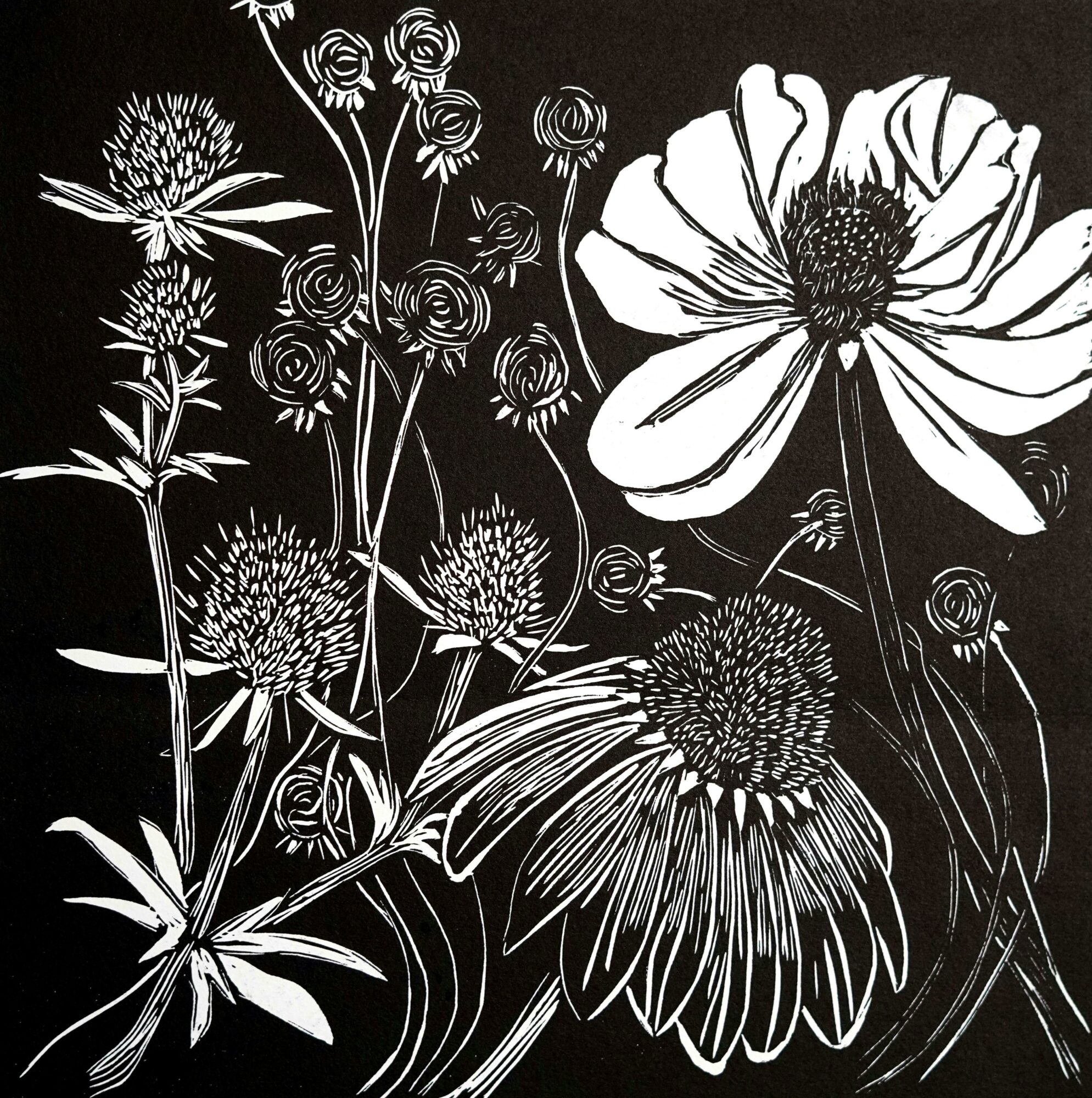 Kerryn Amery: Mostly Black and White