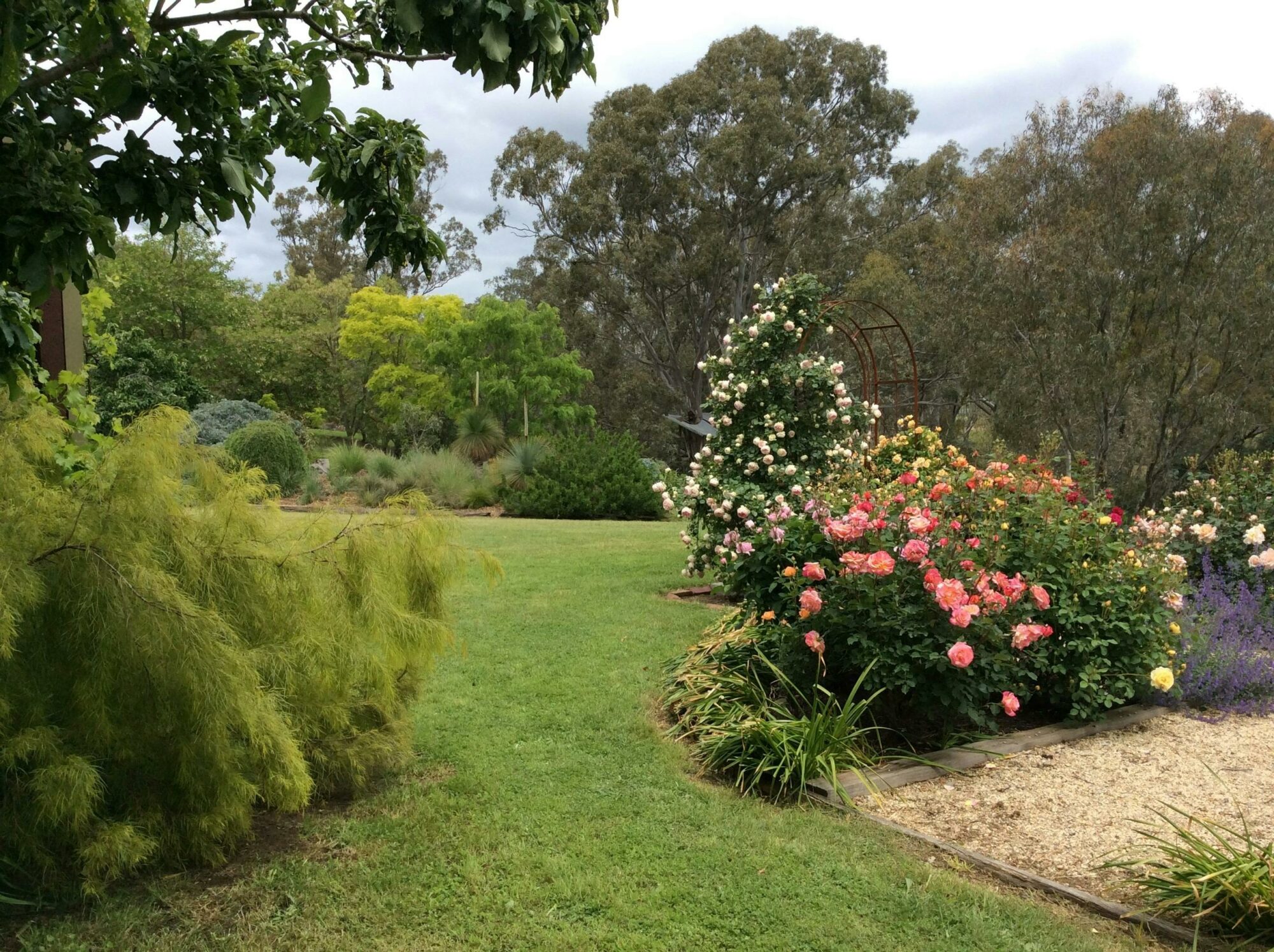 A Rural view