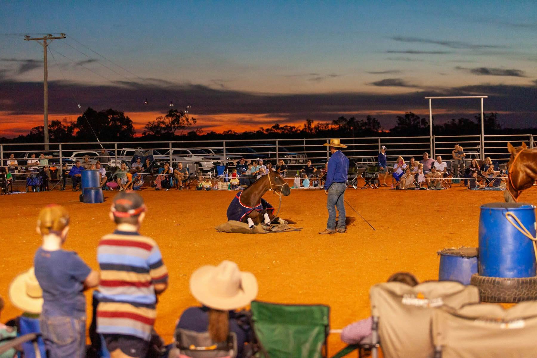 Guests watching Tom Curtain work with a horse during a Katherine Outback Experience show on tour