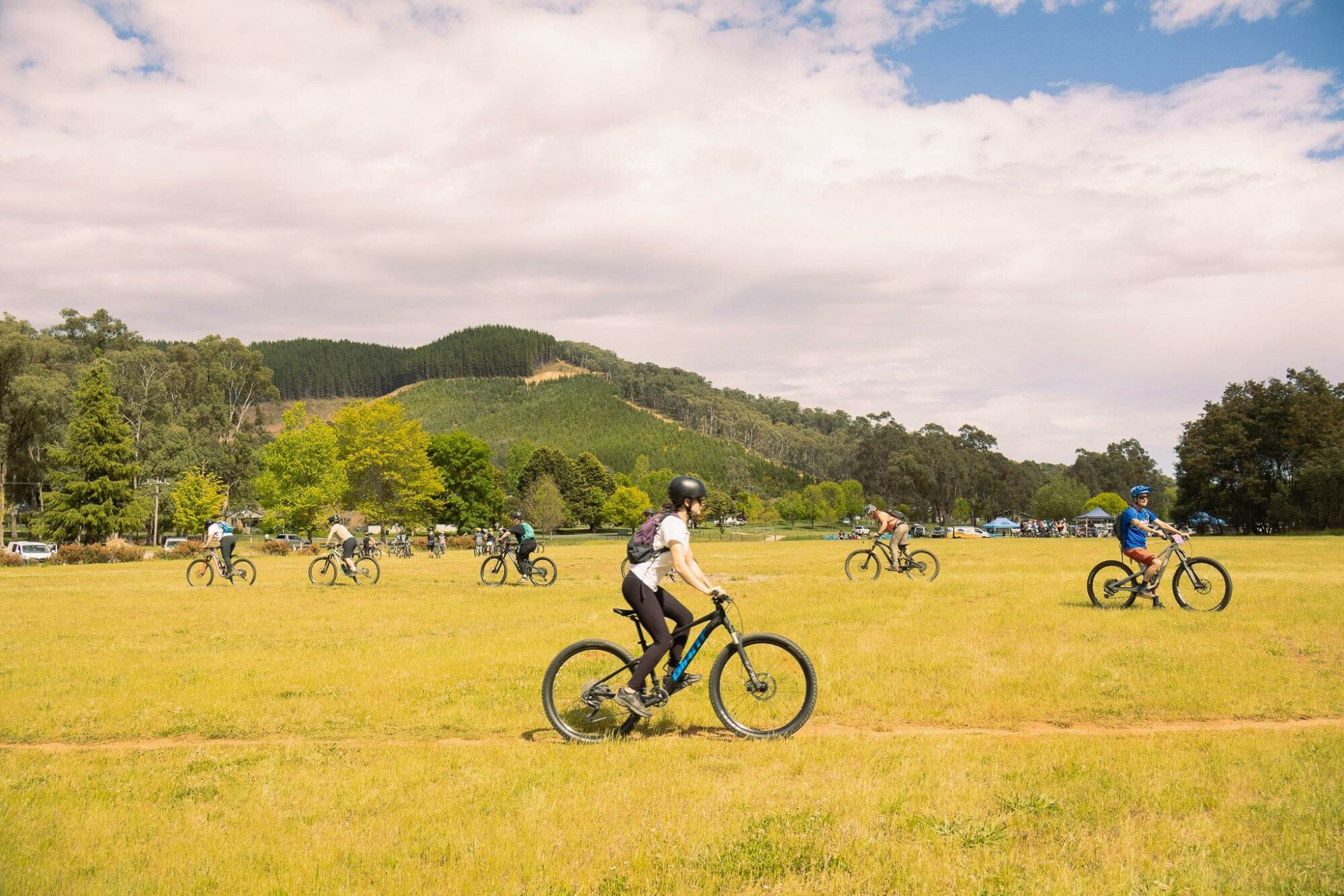A rider passes by on a grassy field
