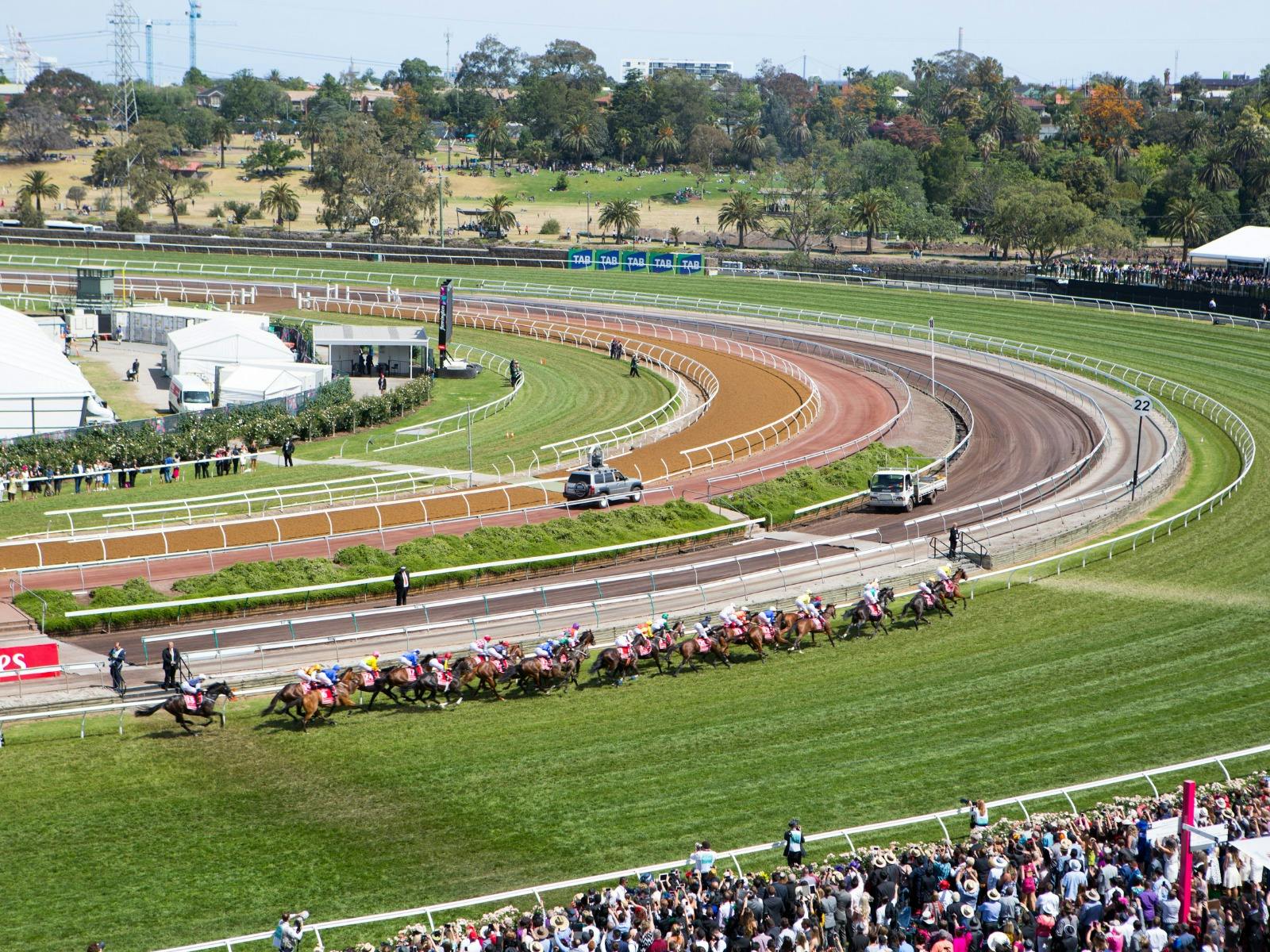 Horses running at Melbourne Cup race