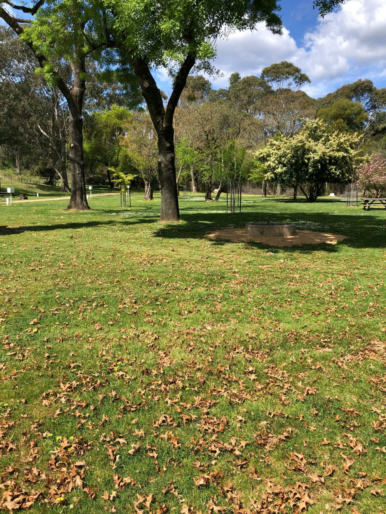 Spacious Sites at Wandiligong Camping Ground
