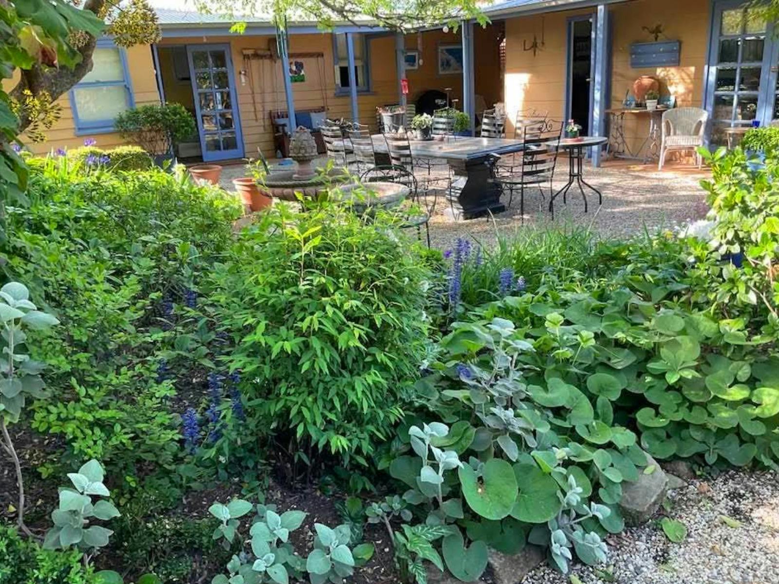 Established garden overlooking outdoor dining space