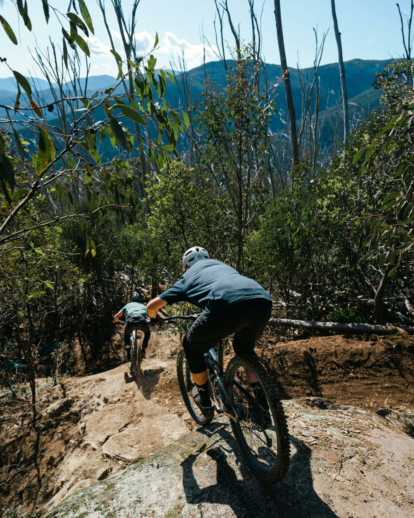 Downhill MTB