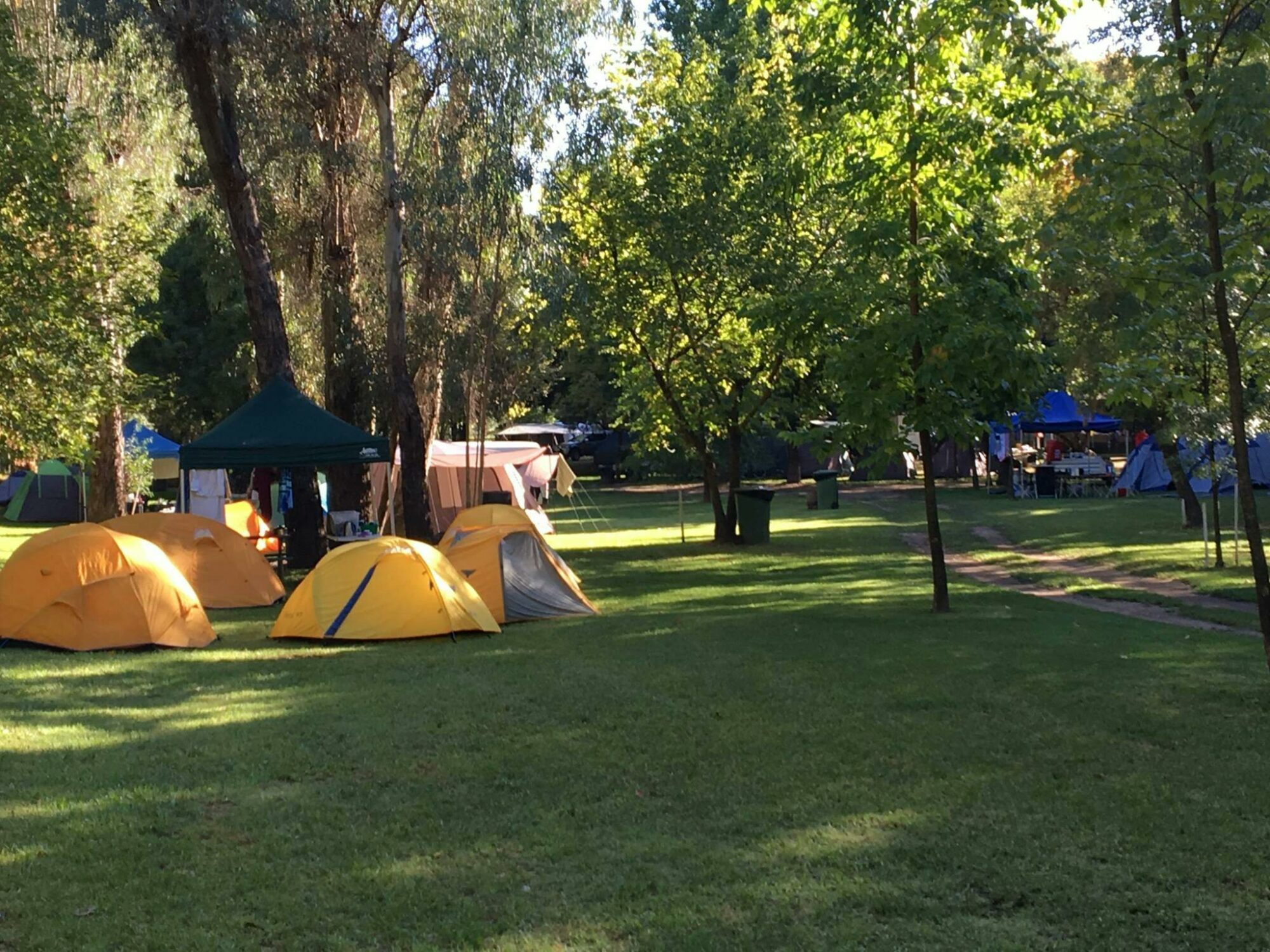 Large Shady Sites available