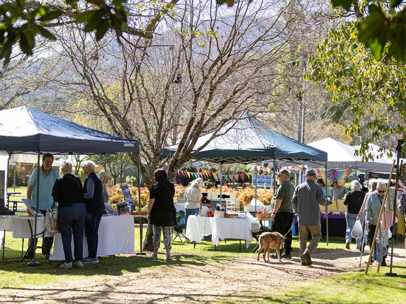 People browsing stalls under shady trees at a sunny outdoor market.