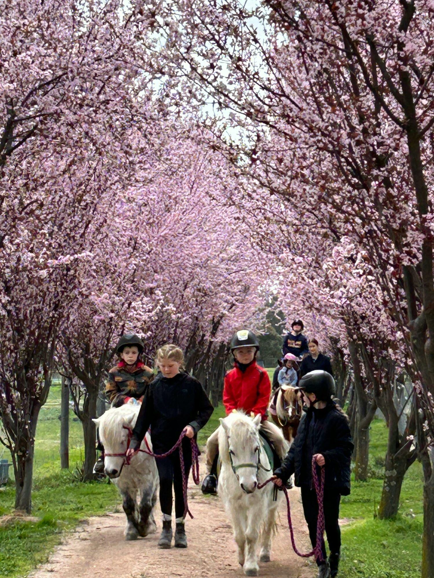 Young riders having fun