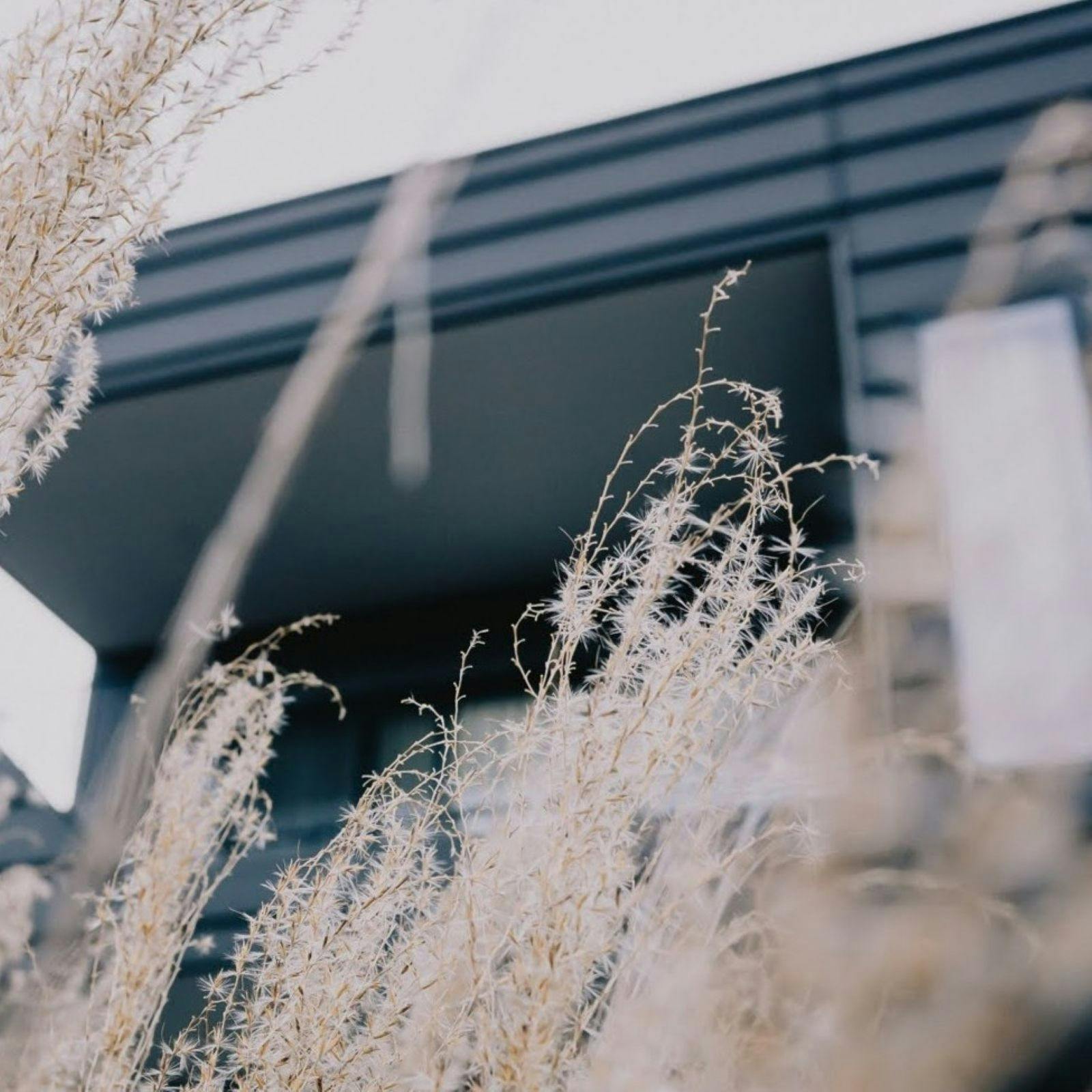 Accommodation Bright