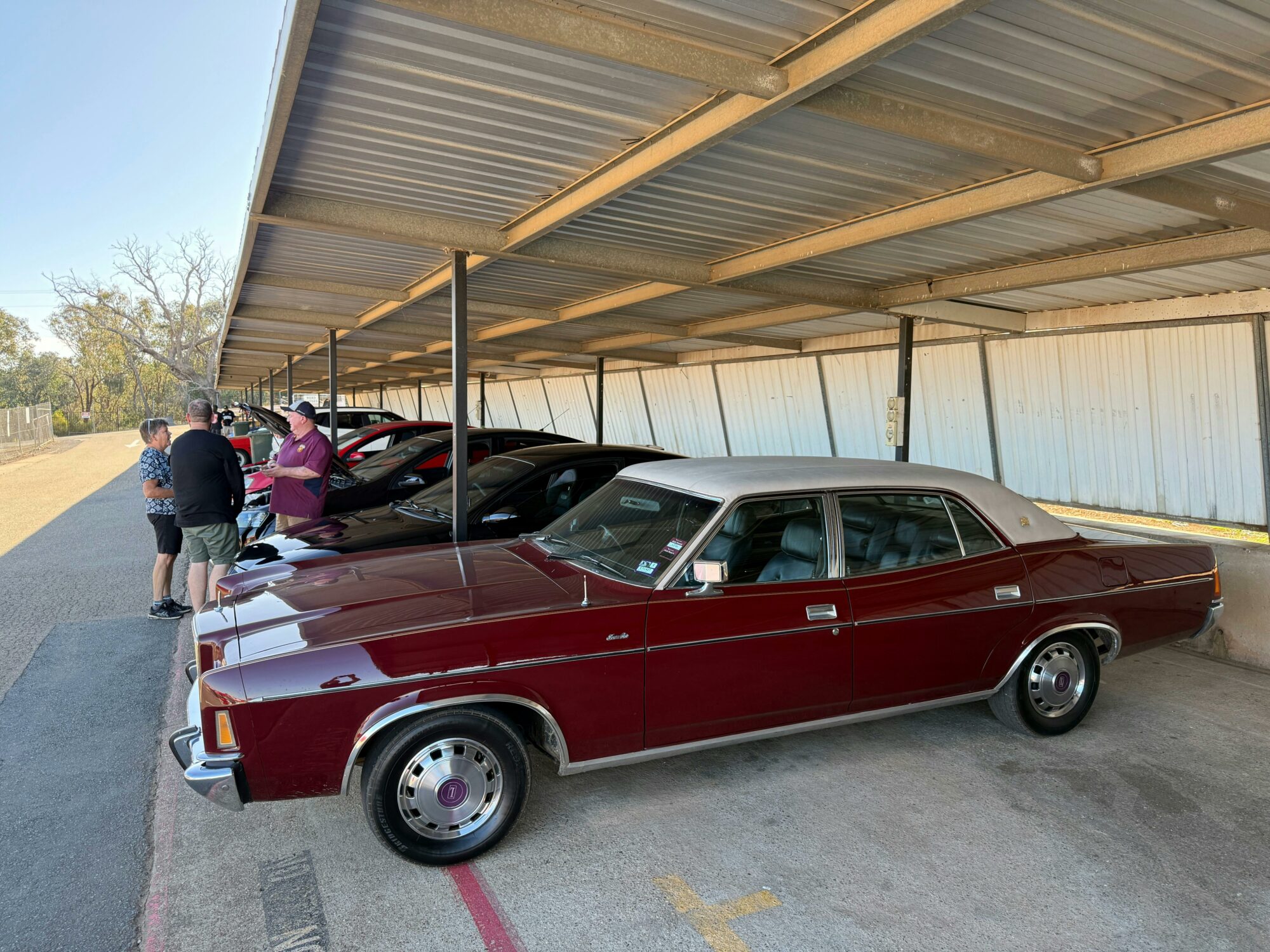 Cars lining up for Scruntineering