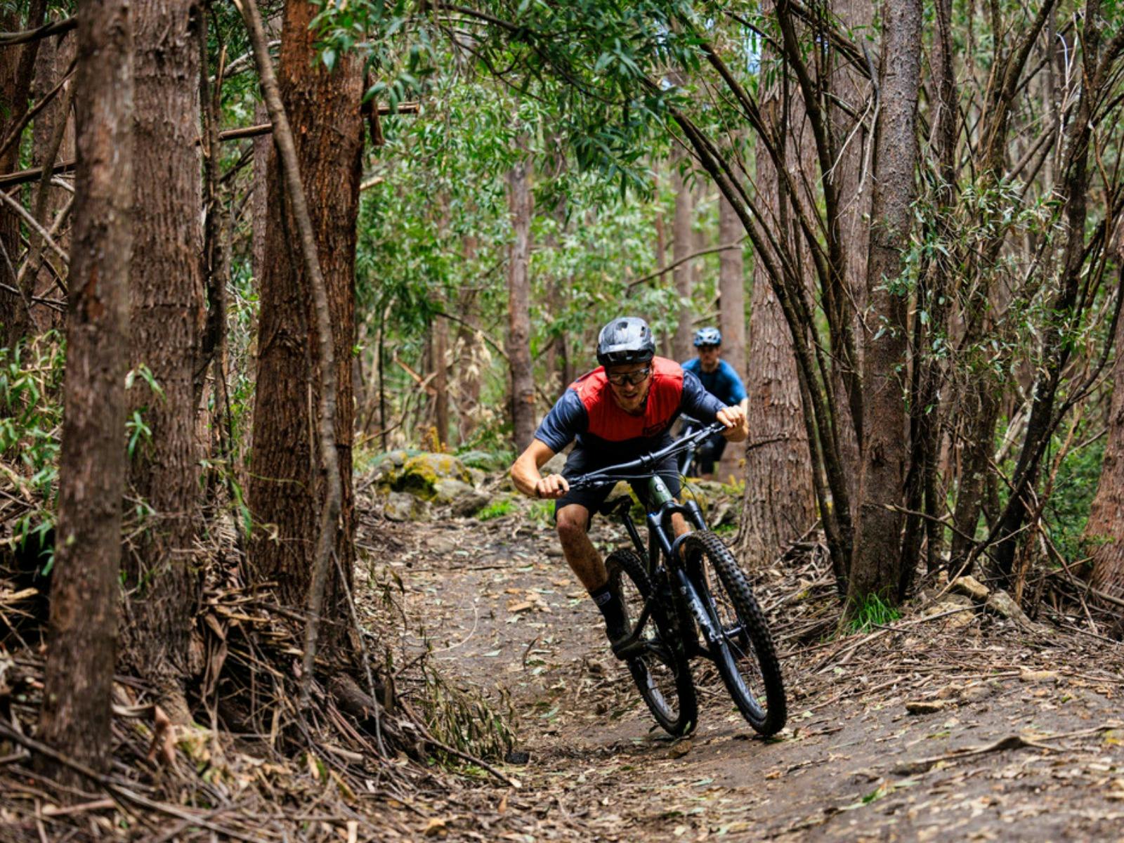 Rider on Cascades MTB Trail
